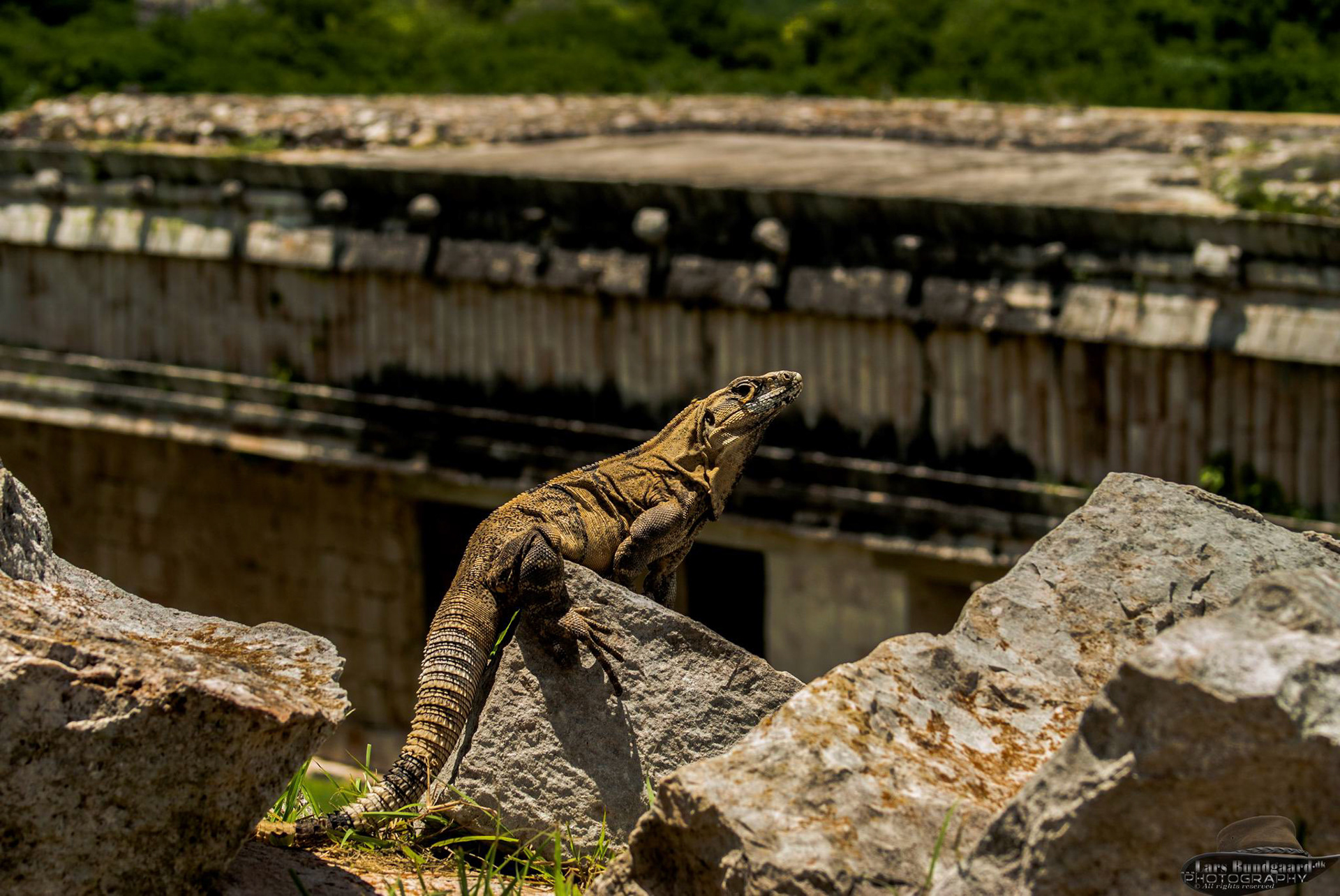 Copyright © Lars Bundgaard, all rights reserved!