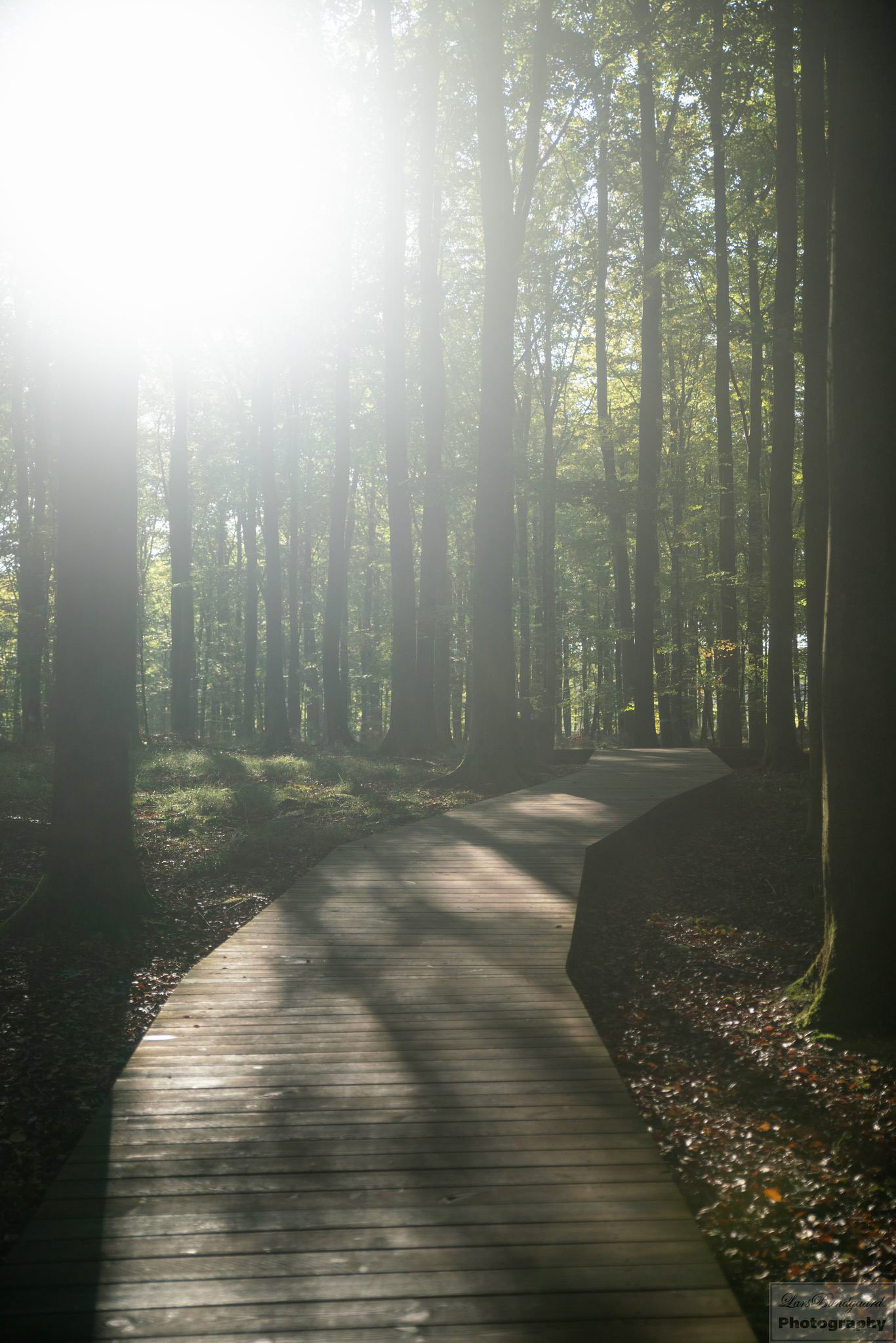 Copyright © Lars Bundgaard, all rights reserved!