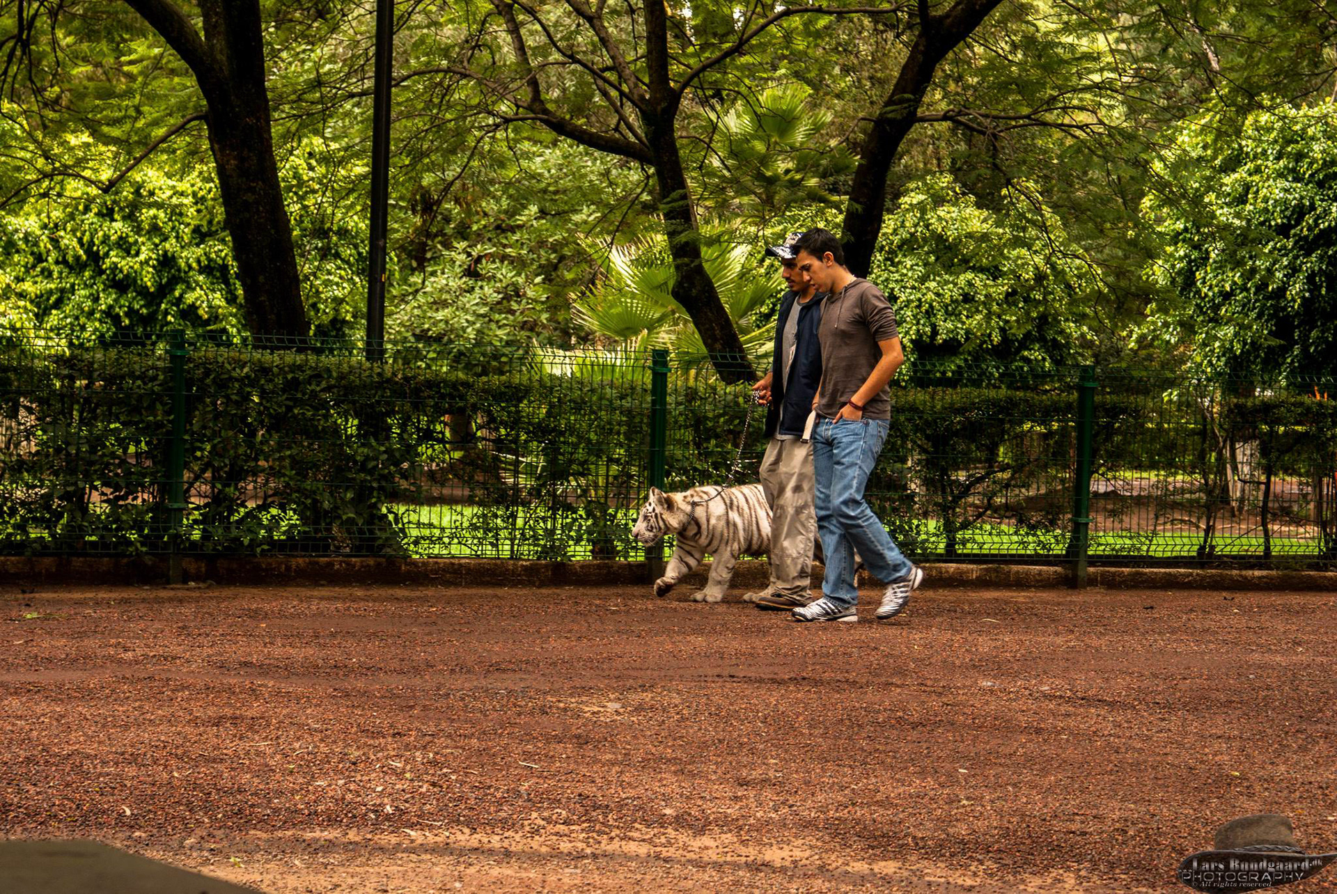 Copyright © Lars Bundgaard, all rights reserved!