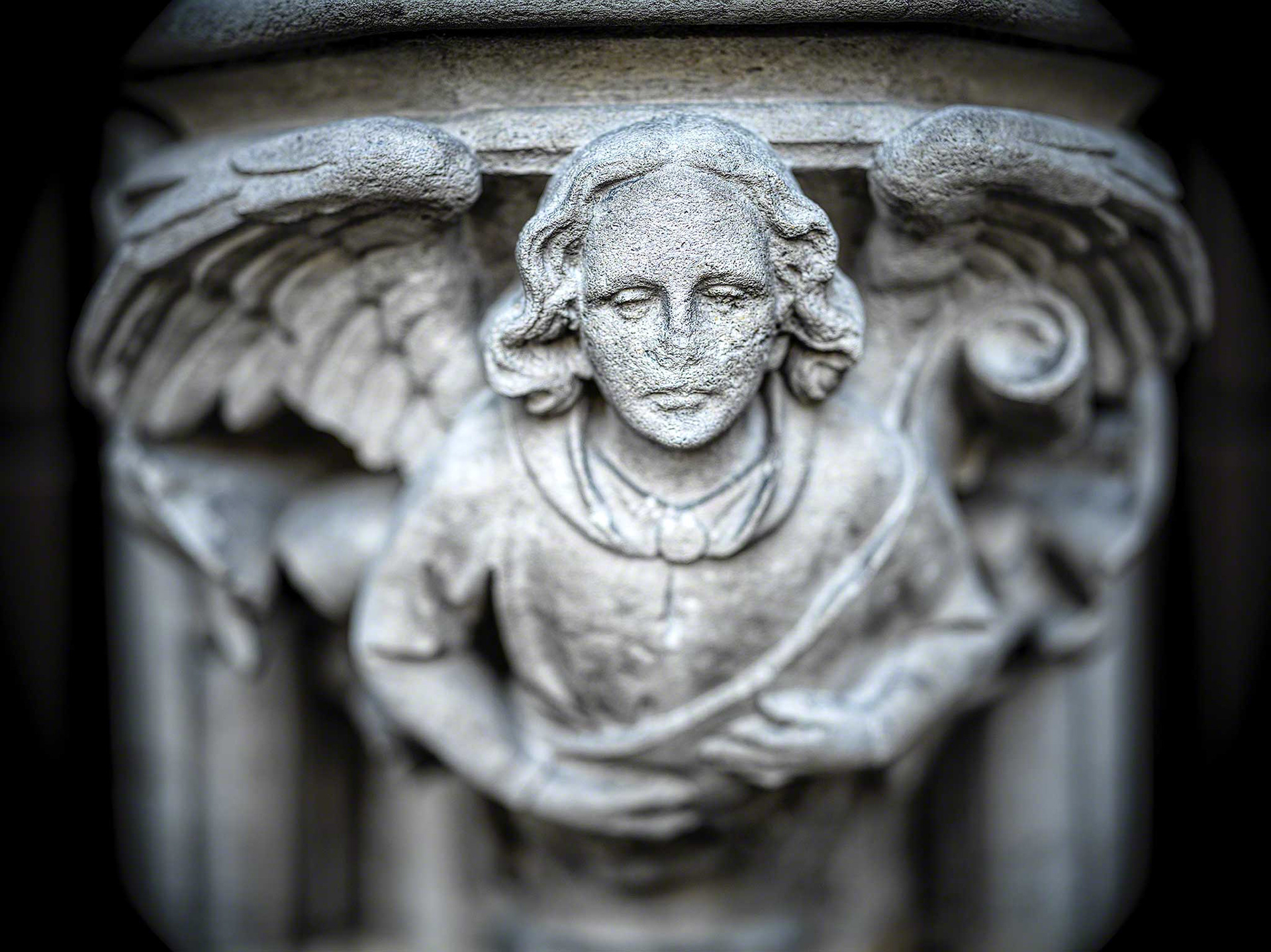 Ein in Sandstein gehauener Engel am Westportal der Liebfrauenkirche Münster, Westfalen. Der Engel, dem schon wohl aufgrund des Alters die Nase fehlt / verwittert ist. Die Aufnahme ist mit schwarkem Bokeh versehen, also eine durch die Anwendung der offenen Blende der Mittelformatkamera erzeugte Unschärfe in diesem Fall des Hintergrundes. Das Bokeh wirkt besonders weich und schön durch die überragende Konstruktion des Hasselblad XCD80, eine wahre Bokehmaschine !
