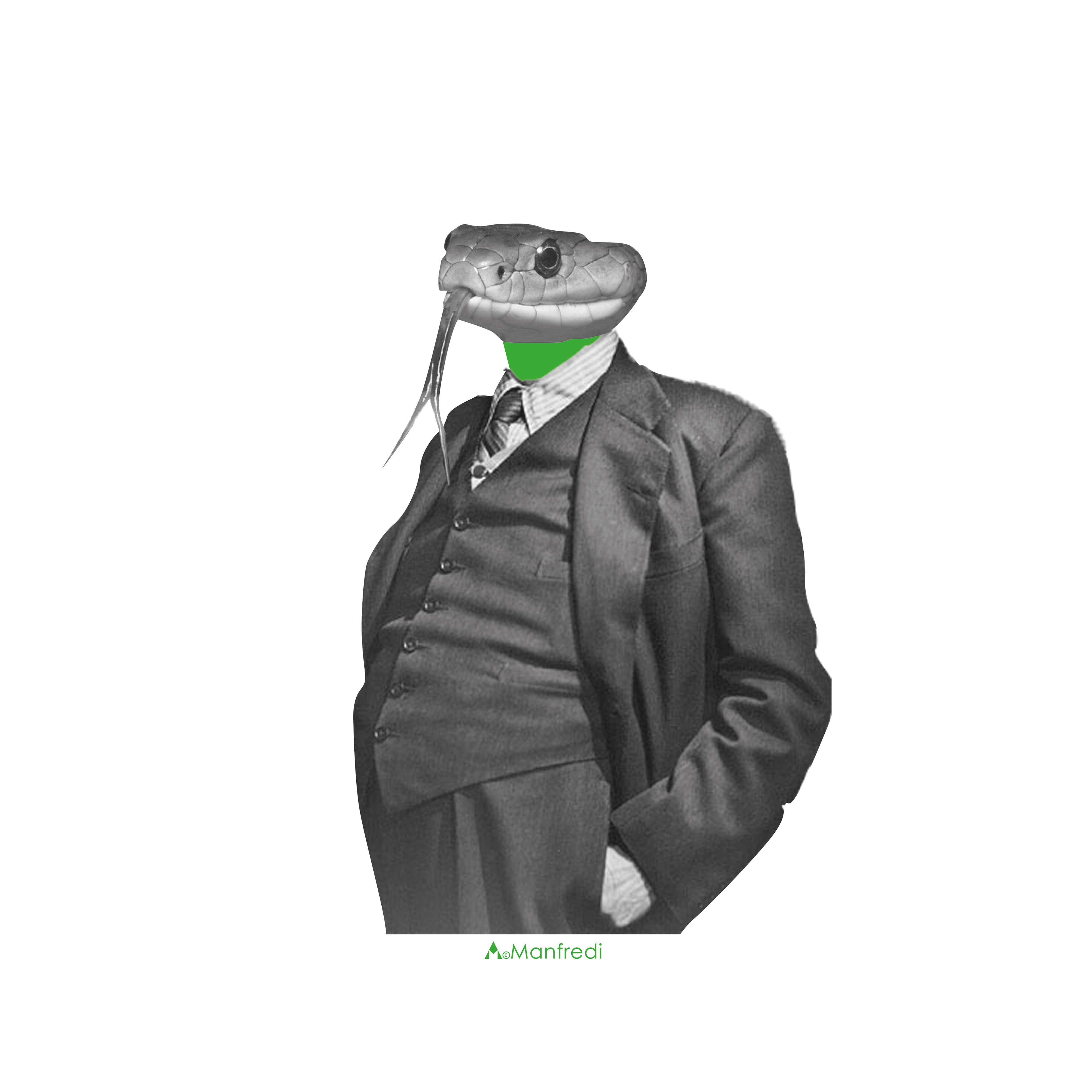 Tribute to Arthur Schopenhauer