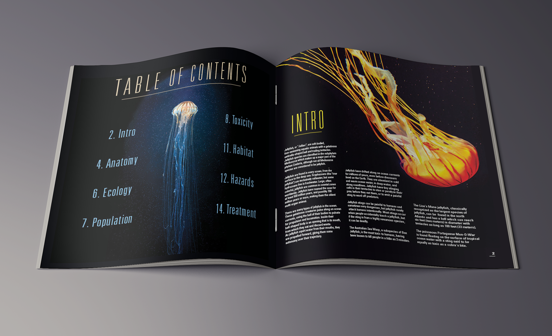 Spread 1 Mockup