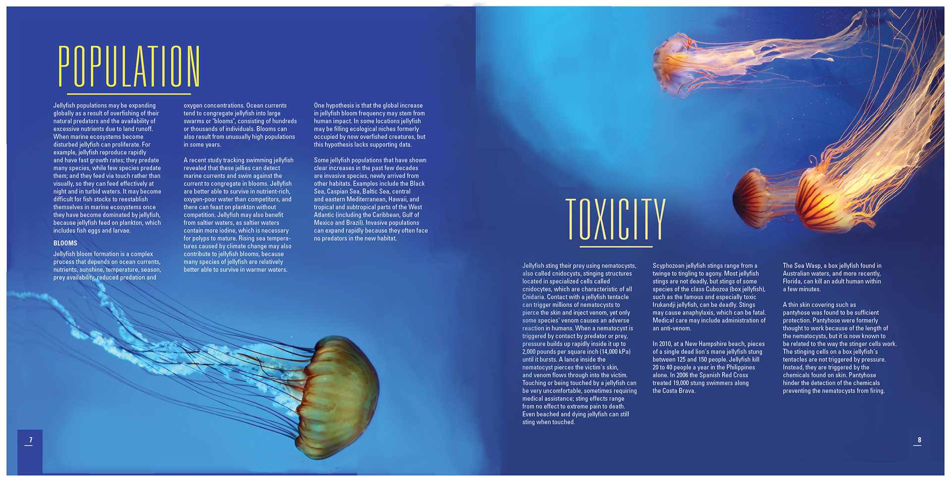 Spread 5 - Pages 7 & 8 (Centerfold)