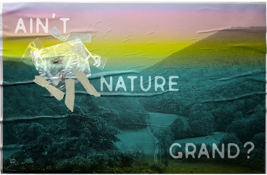 Ain't Nature Grand?