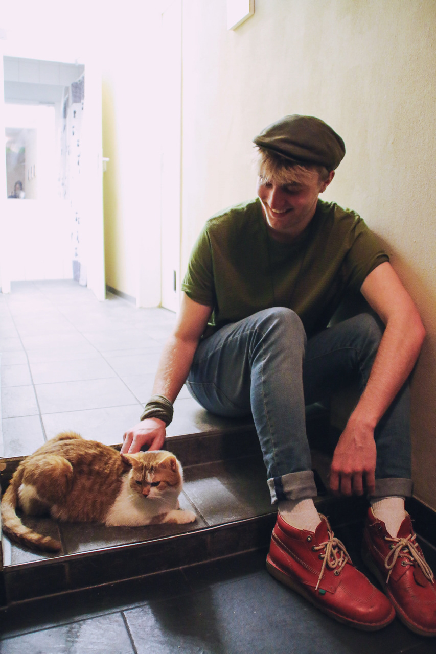 Martin Luke Brown, cat café, Munich, 2016