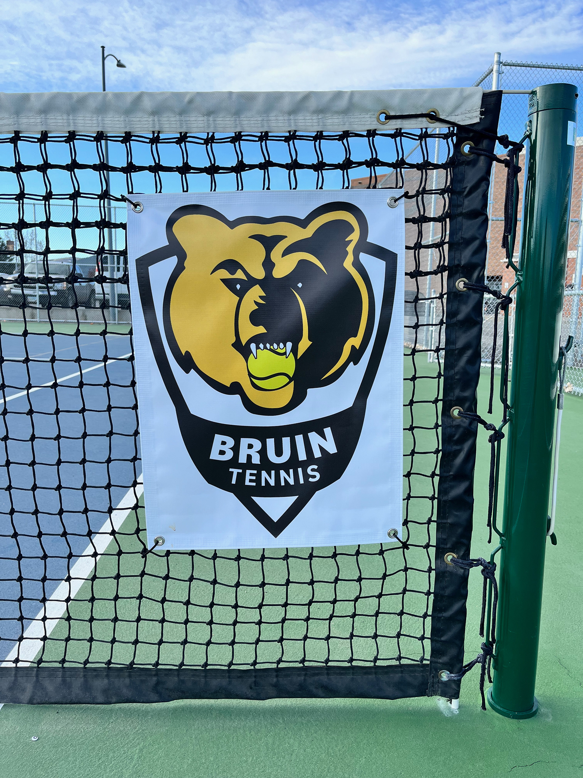 Logo In Use
