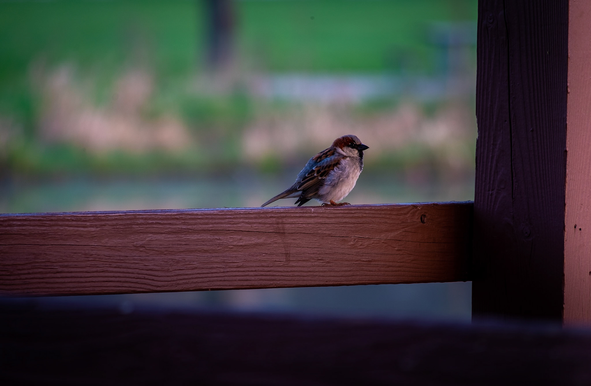 ISO 200 230 mm f / 6.7 1/7 sec