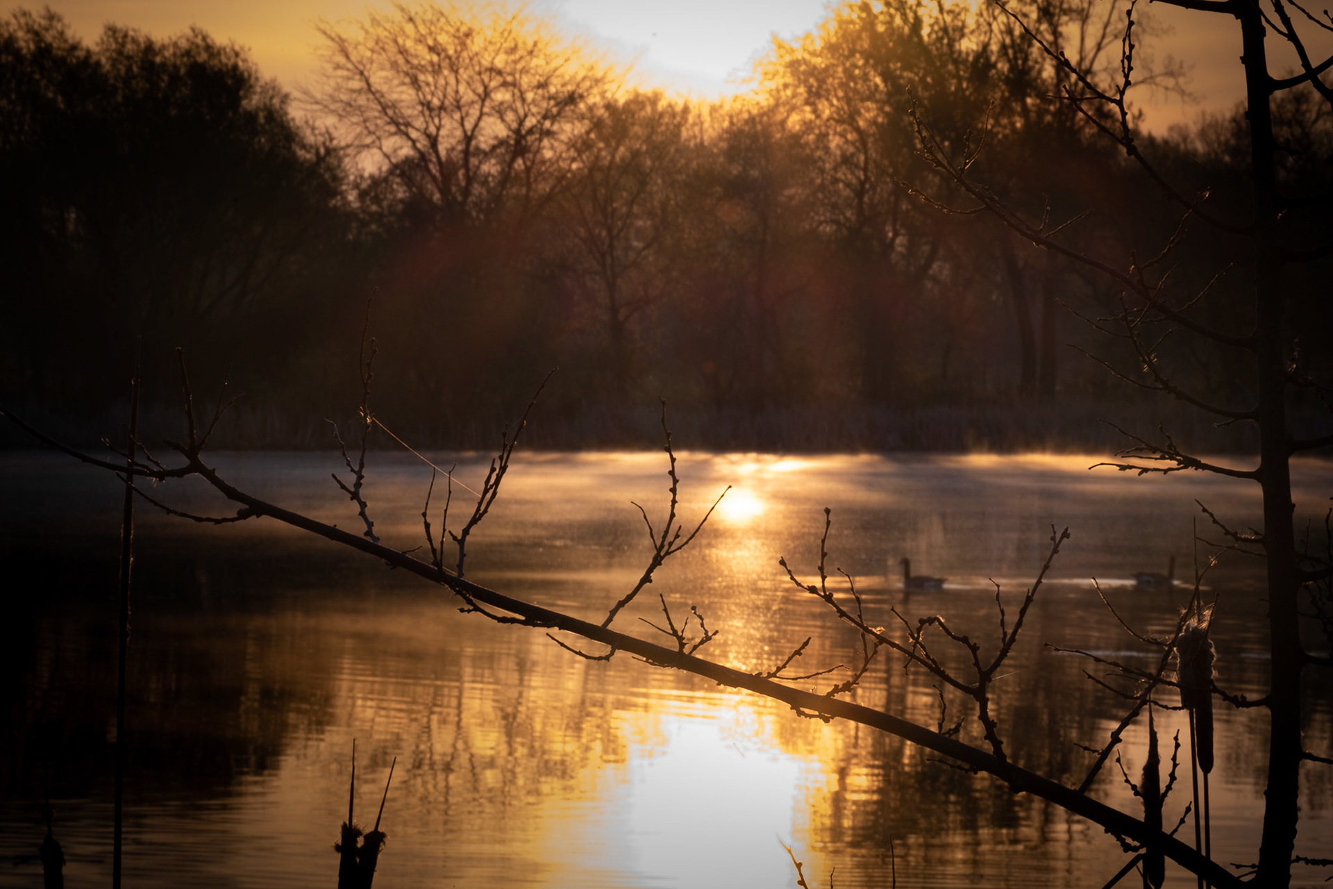 ISO 200 95.4 mm f / 22 1/13 sec
