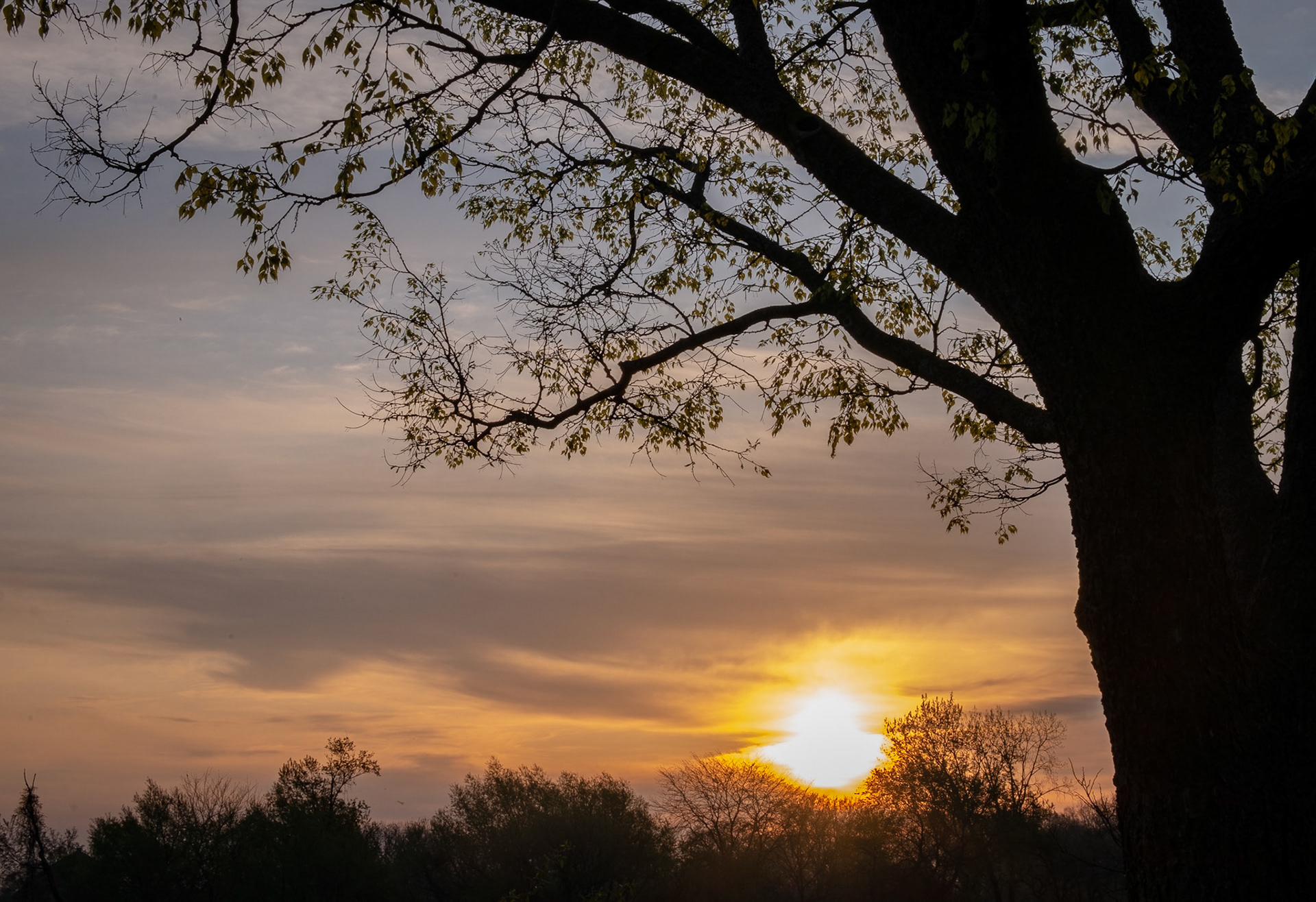 ISO 200 50 mm f / 22 1/25 sec