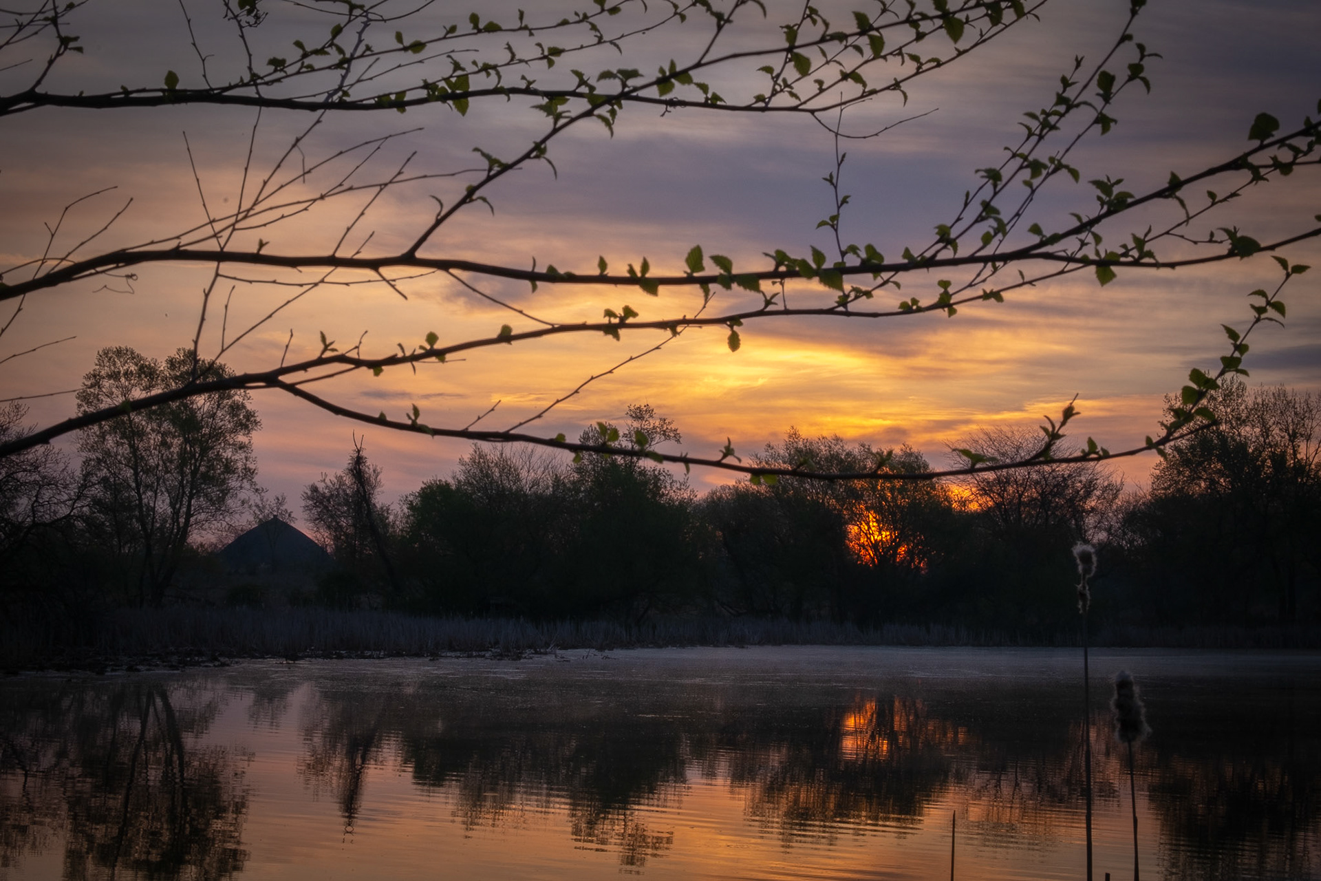 ISO 200 50 mm f / 22 1/18 sec