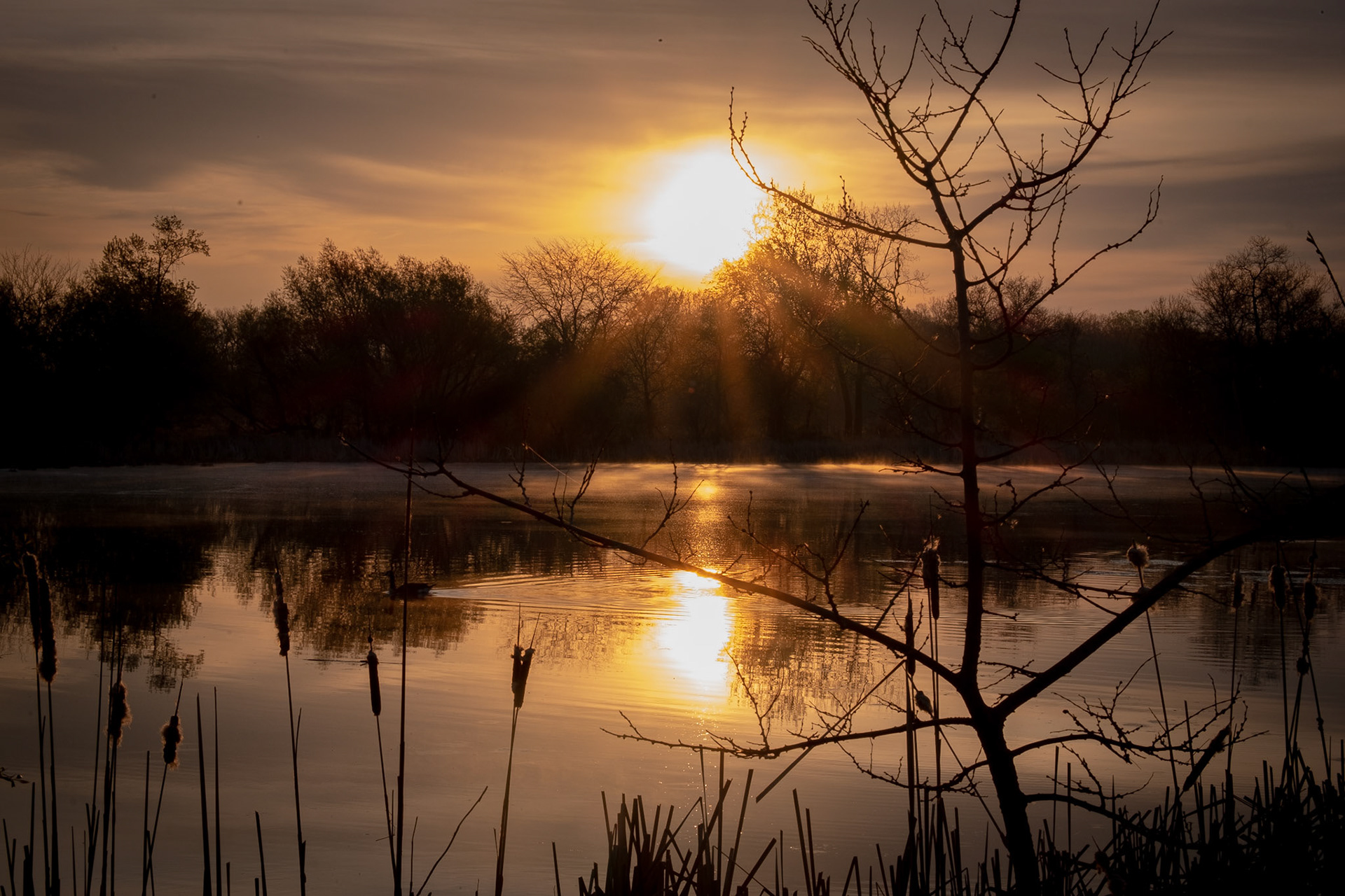 ISO 200 50 mm f / 22 1/30 sec