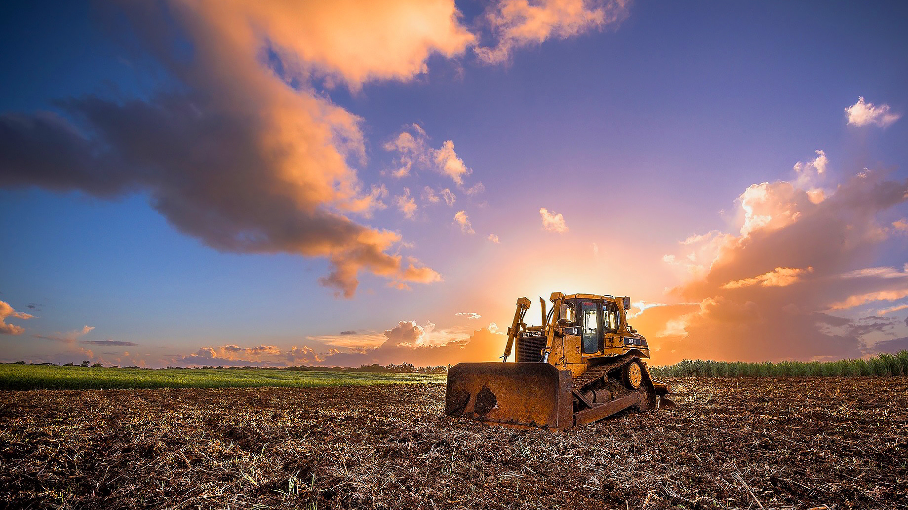 A Bulldozer in the Sugarcane fields at Dusk