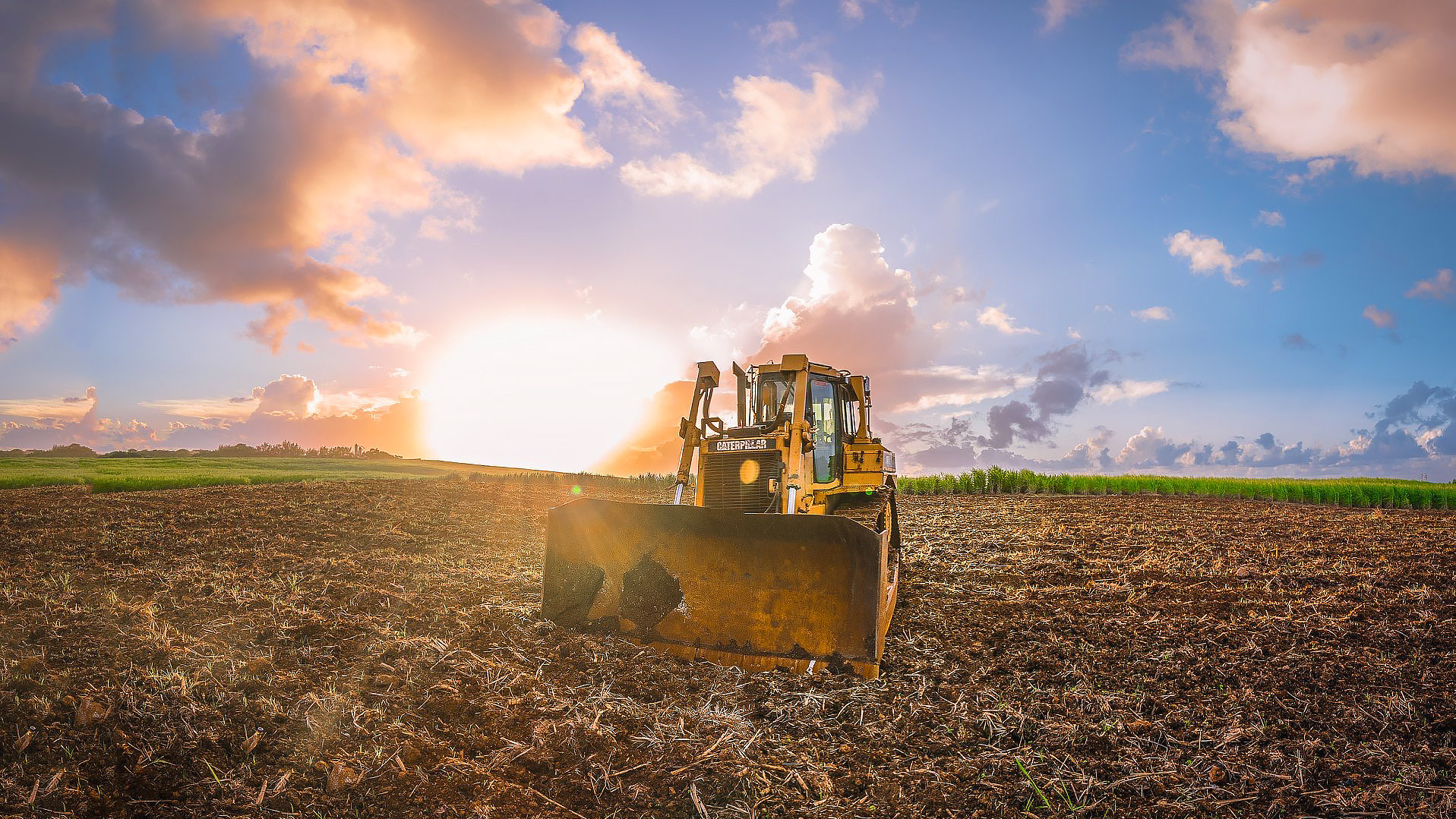 A Bulldozer in the Sugarcane fields