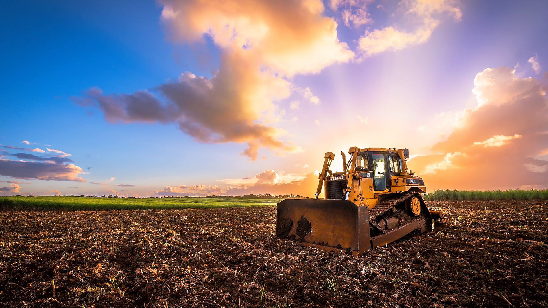 A Bulldozer in the Sugarcane fields 2