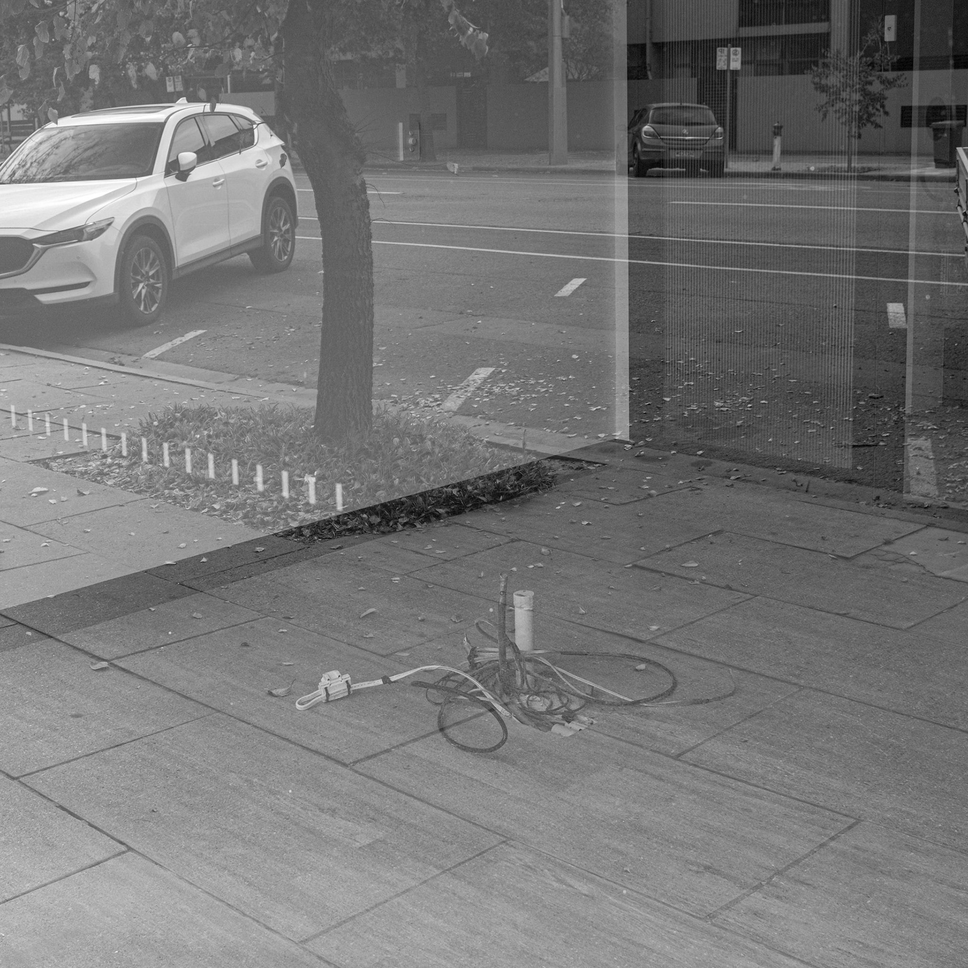 Ward Street, North Adelaide