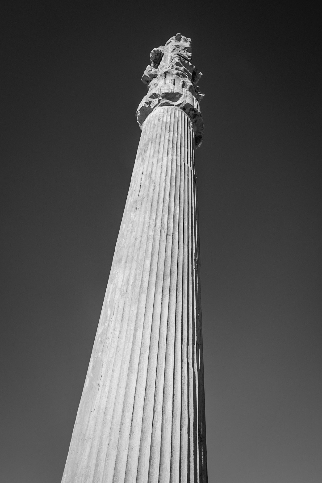 Persepolis