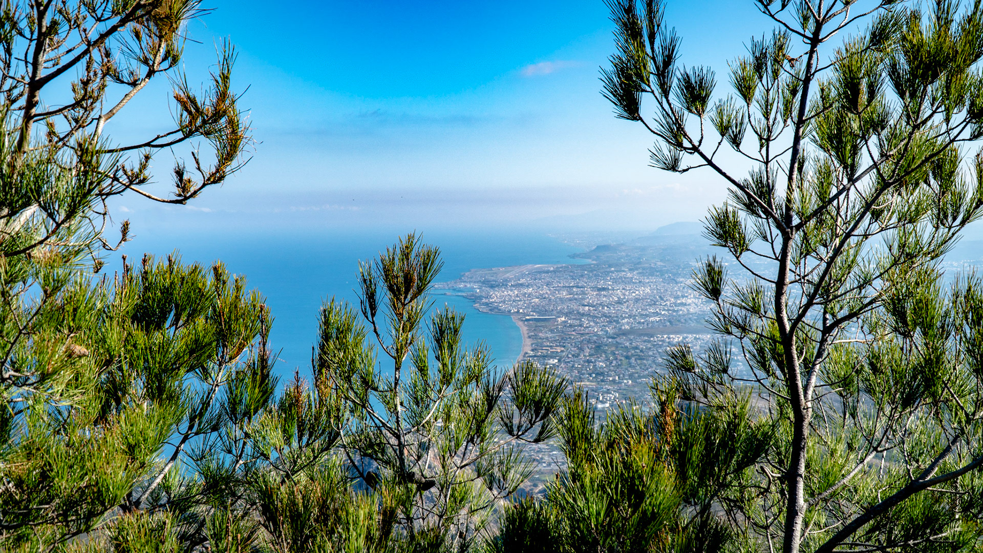 Heraklion view Through Trees