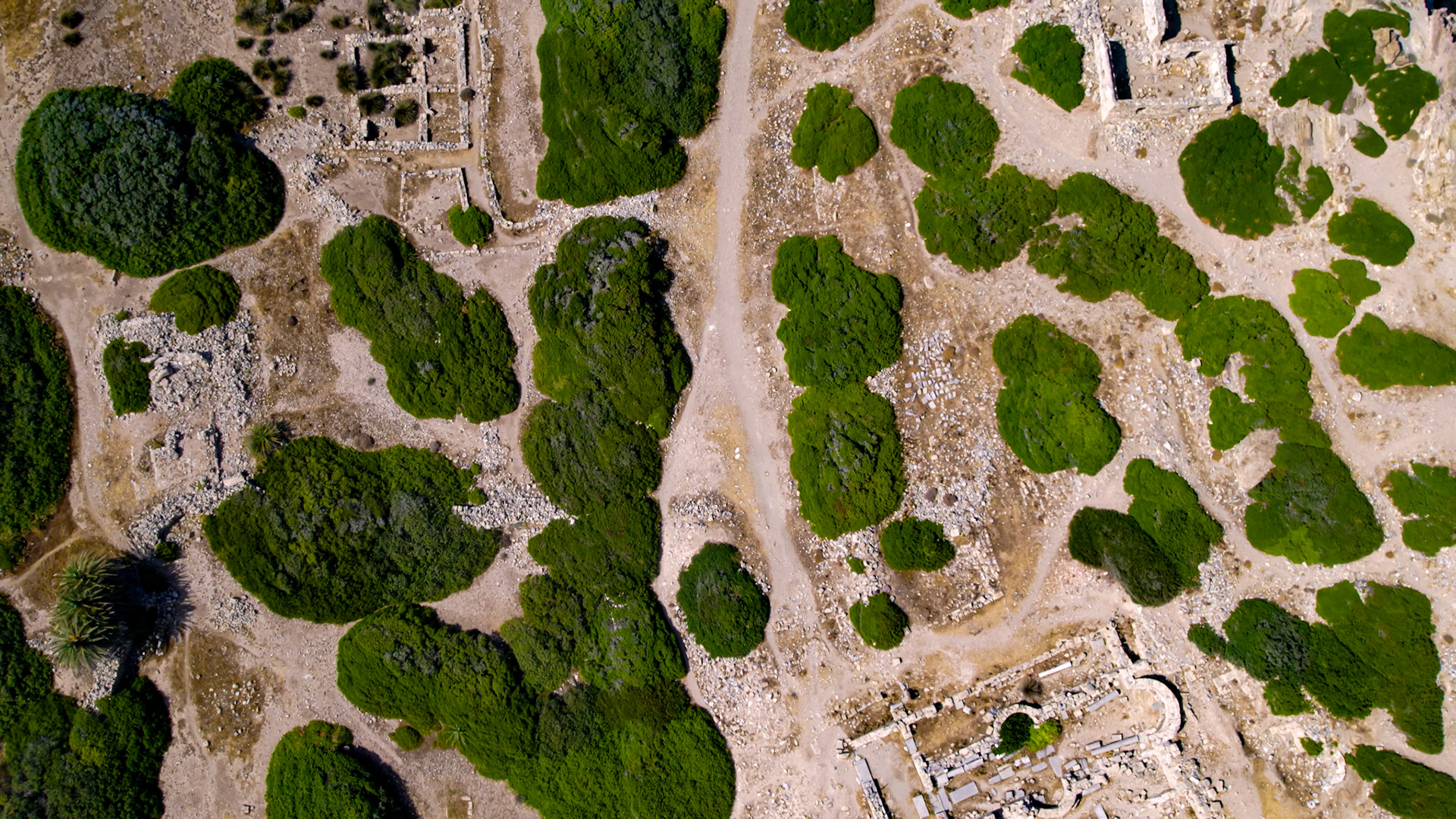 Ancient Itanos Top Down