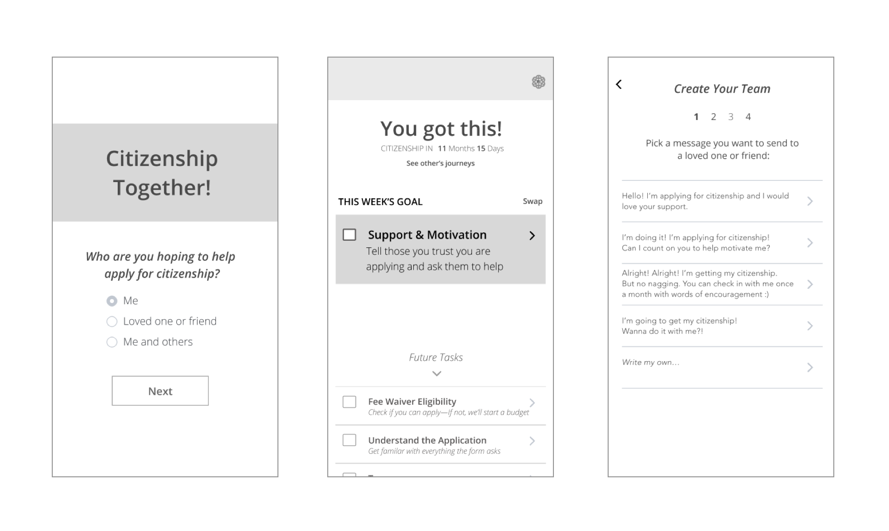 Companion app intro screen, checklist screen and support team invitation screen