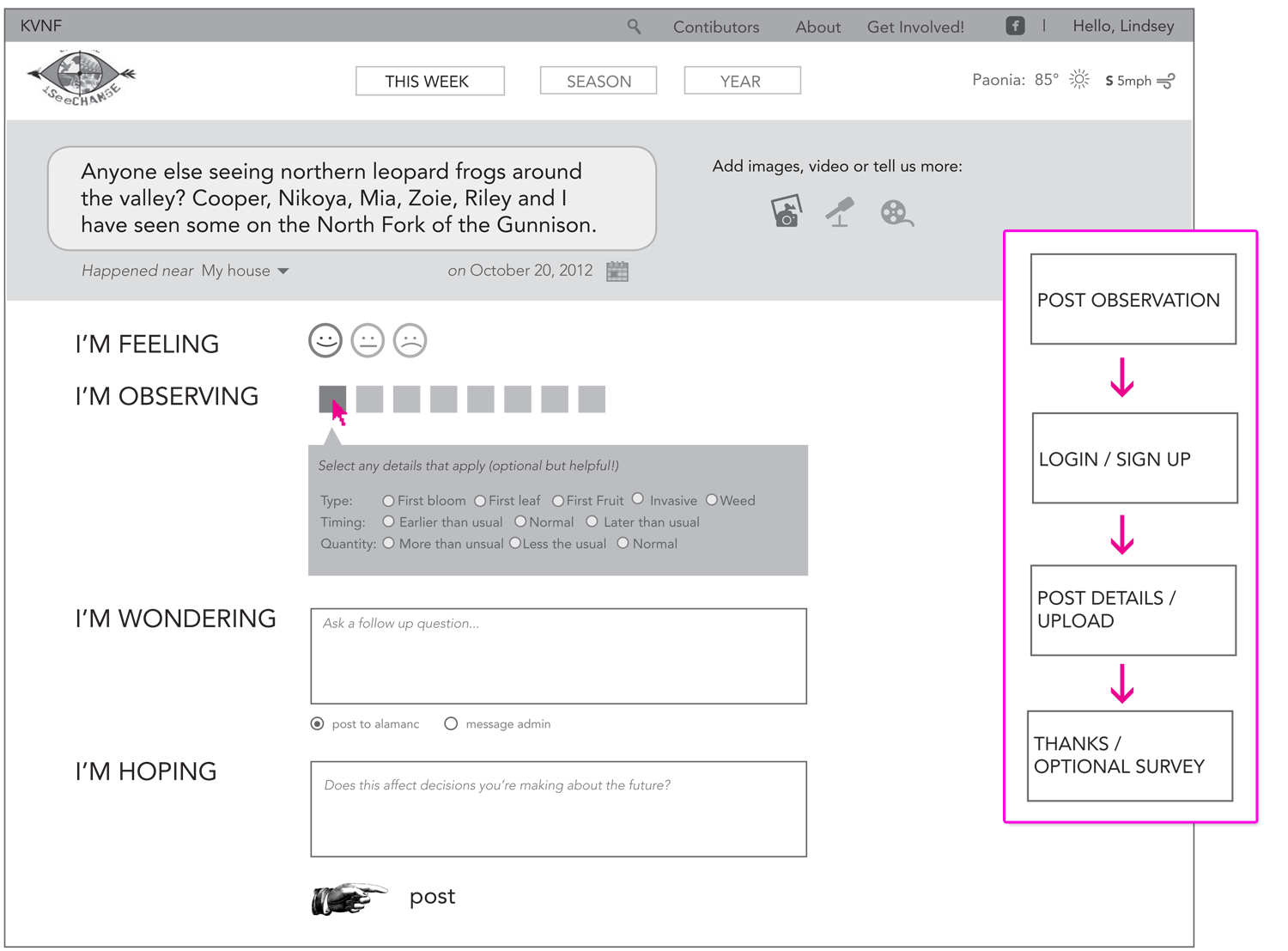 Full wireframe of the observation post form