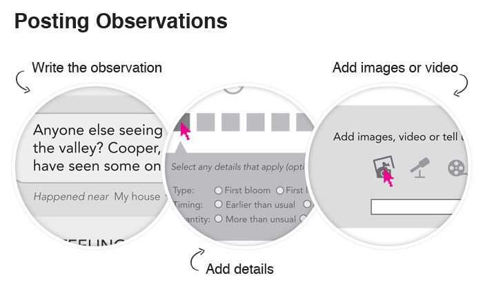 Details from the observation posting experience