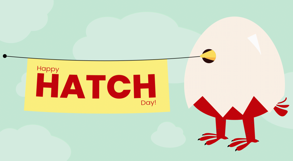 Hatch Day Anniversary