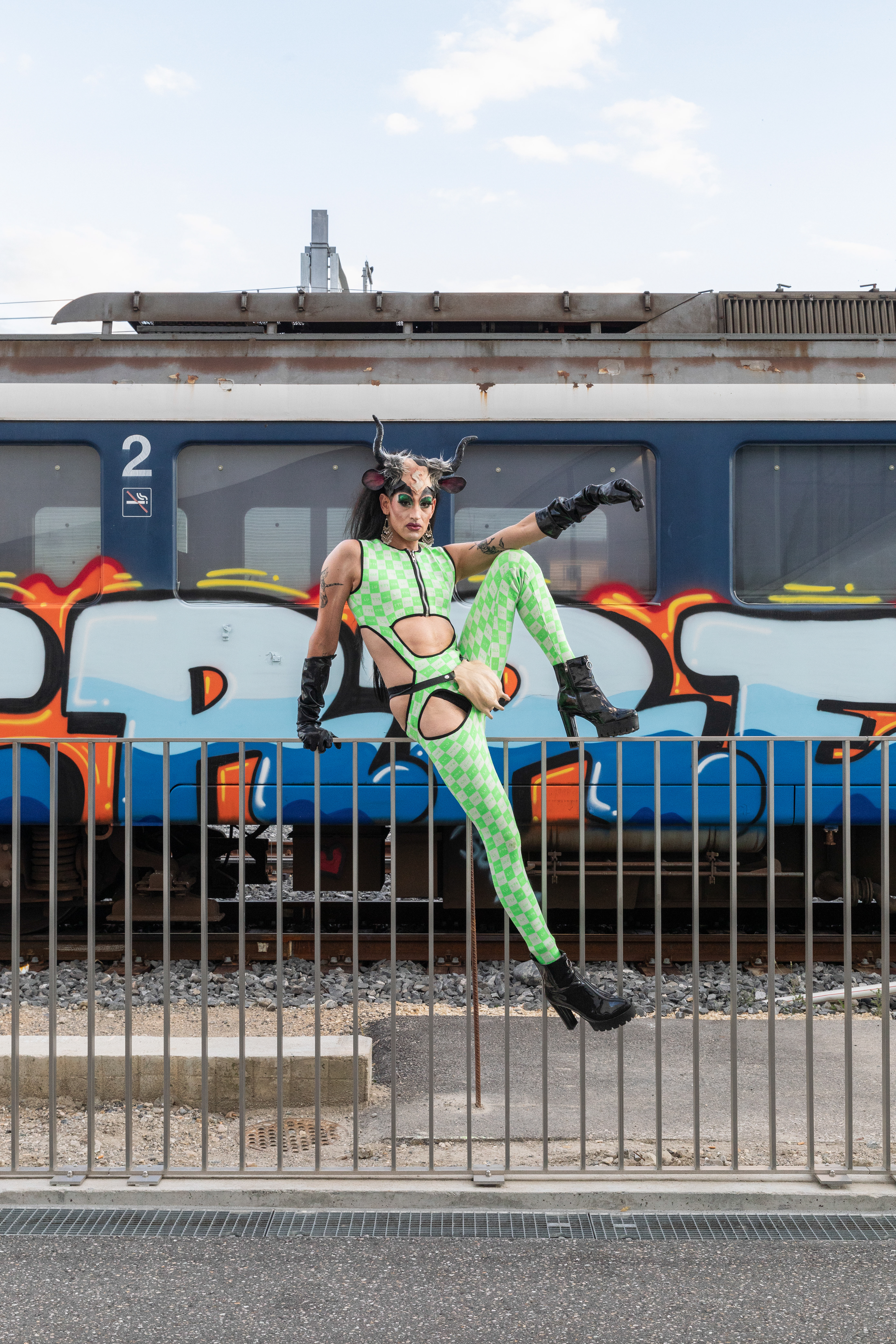 Try Walking in My Hooves ©  Gabrielle Besenval