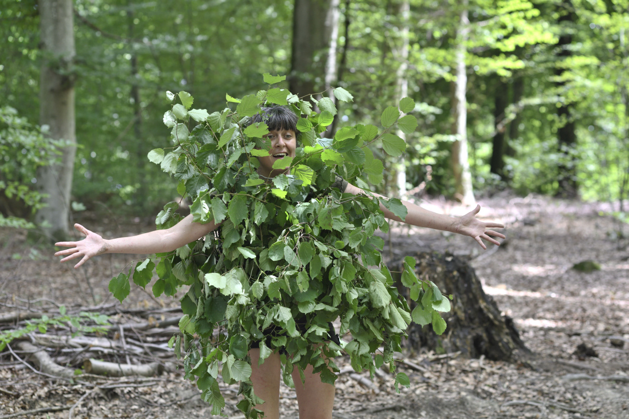 Forêt © Gennaro Scotti 