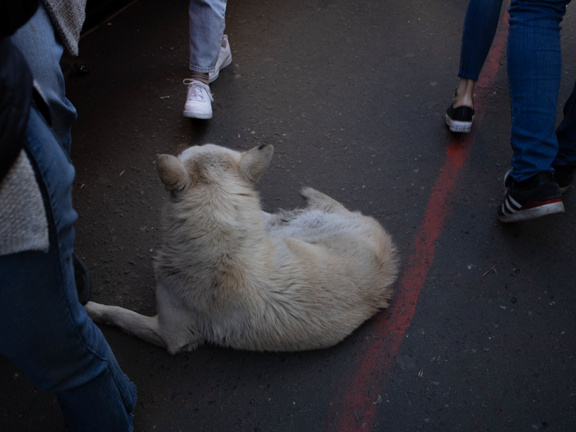 Belgrano, Buenos Aires, Argentina 2023