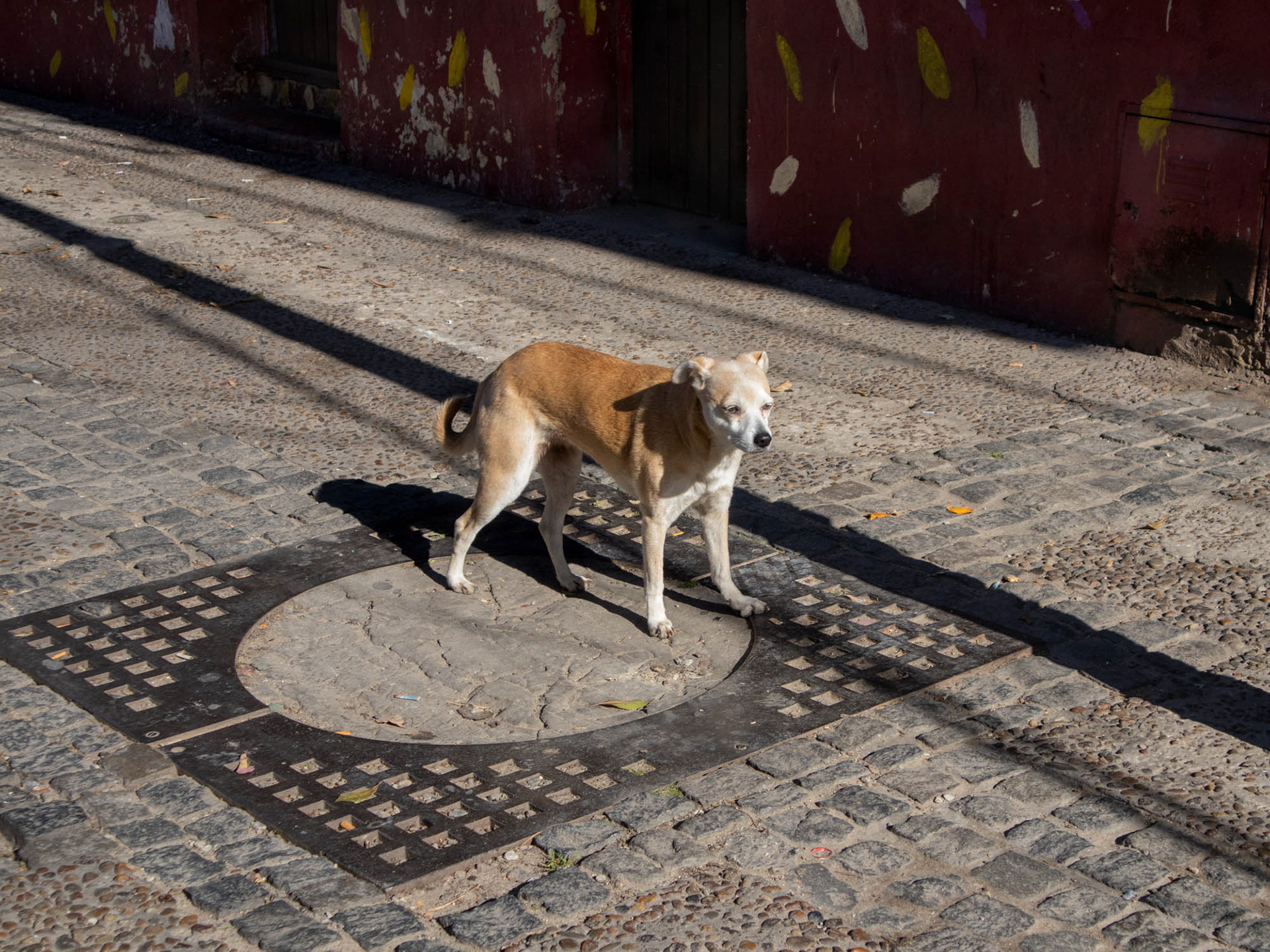 La Boca, Buenos Aires, Argentina 2023