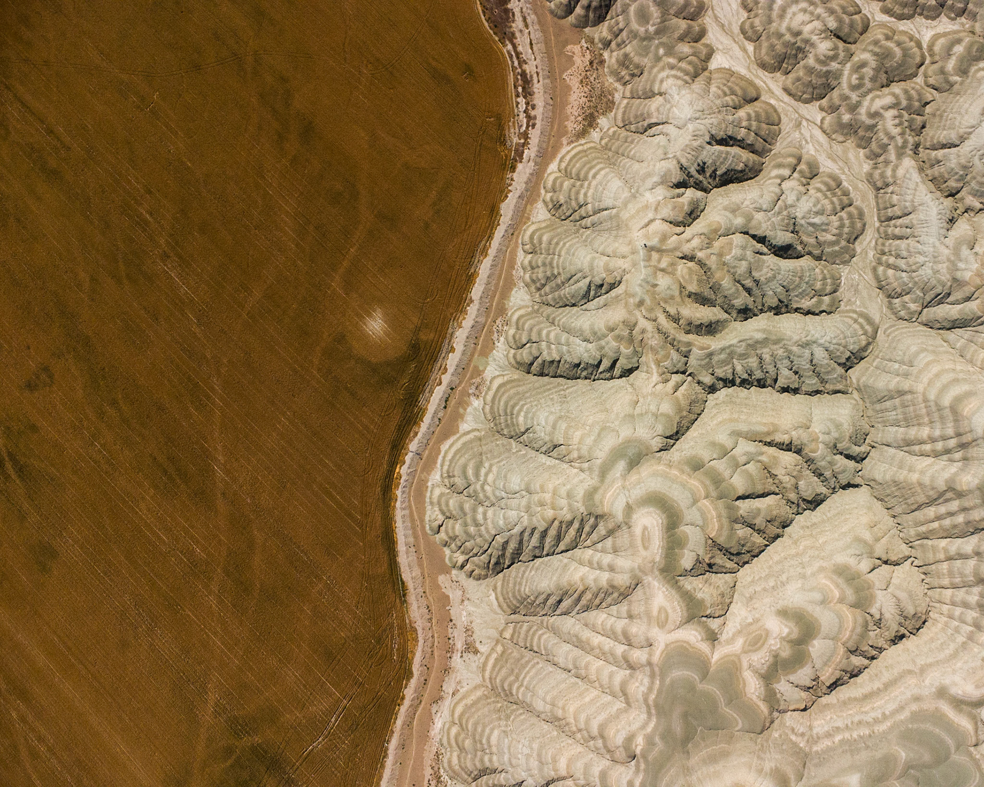 Nallıhan Bird Sanctuary