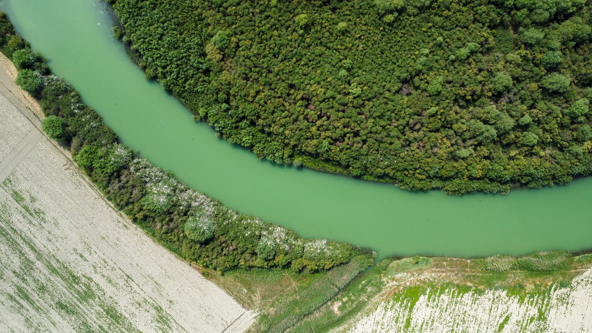 Nallıhan Bird Sanctuary