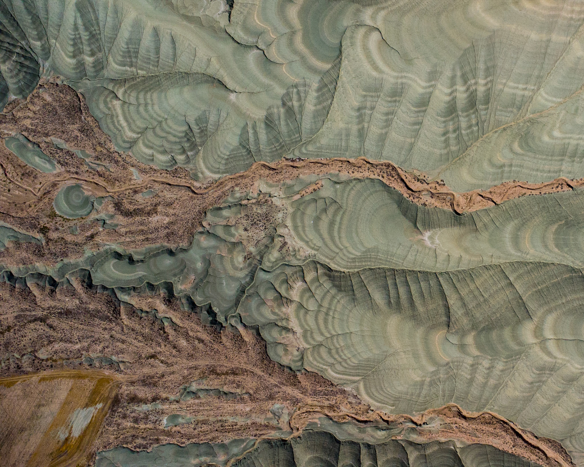 Nallıhan Bird Sanctuary