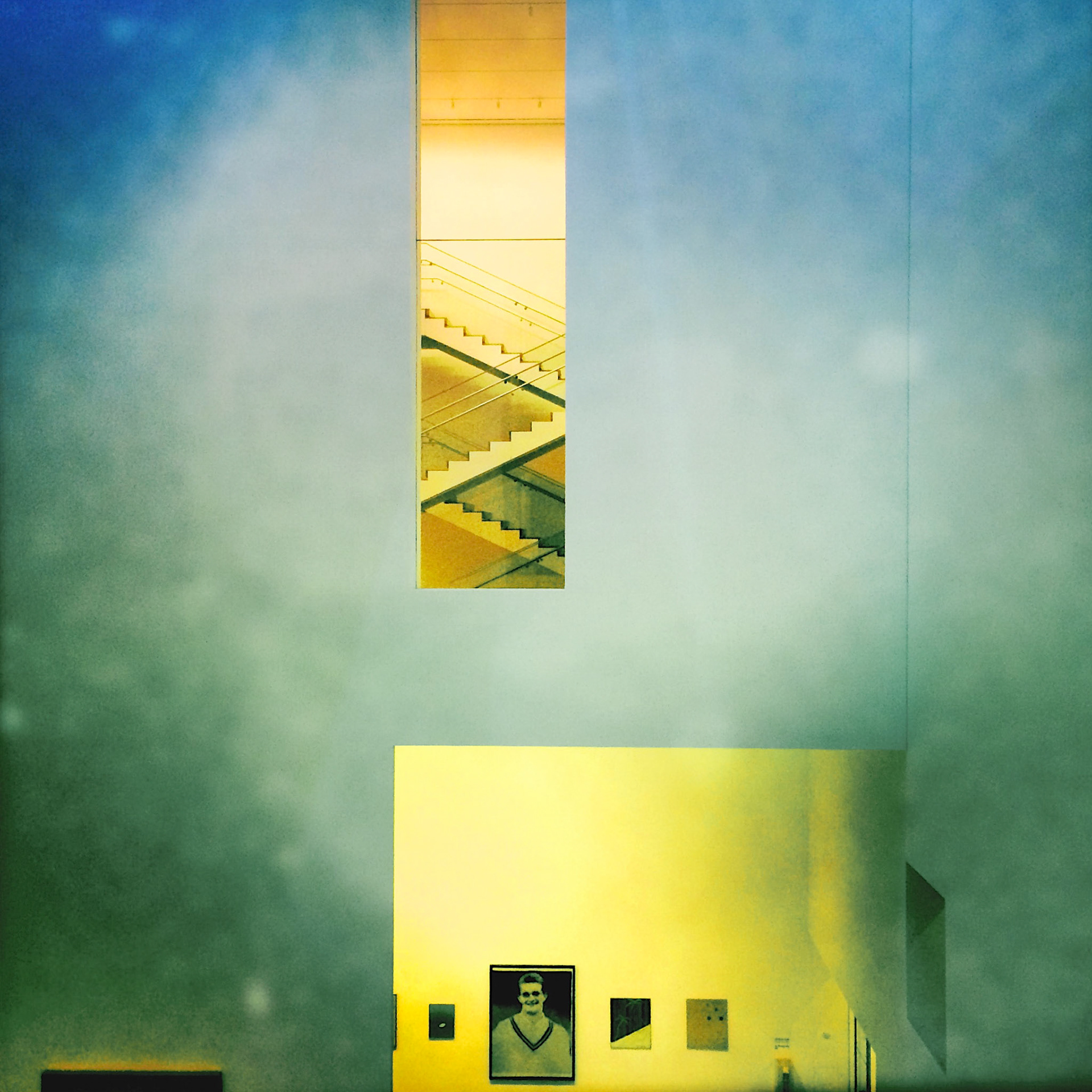 MOMA #1