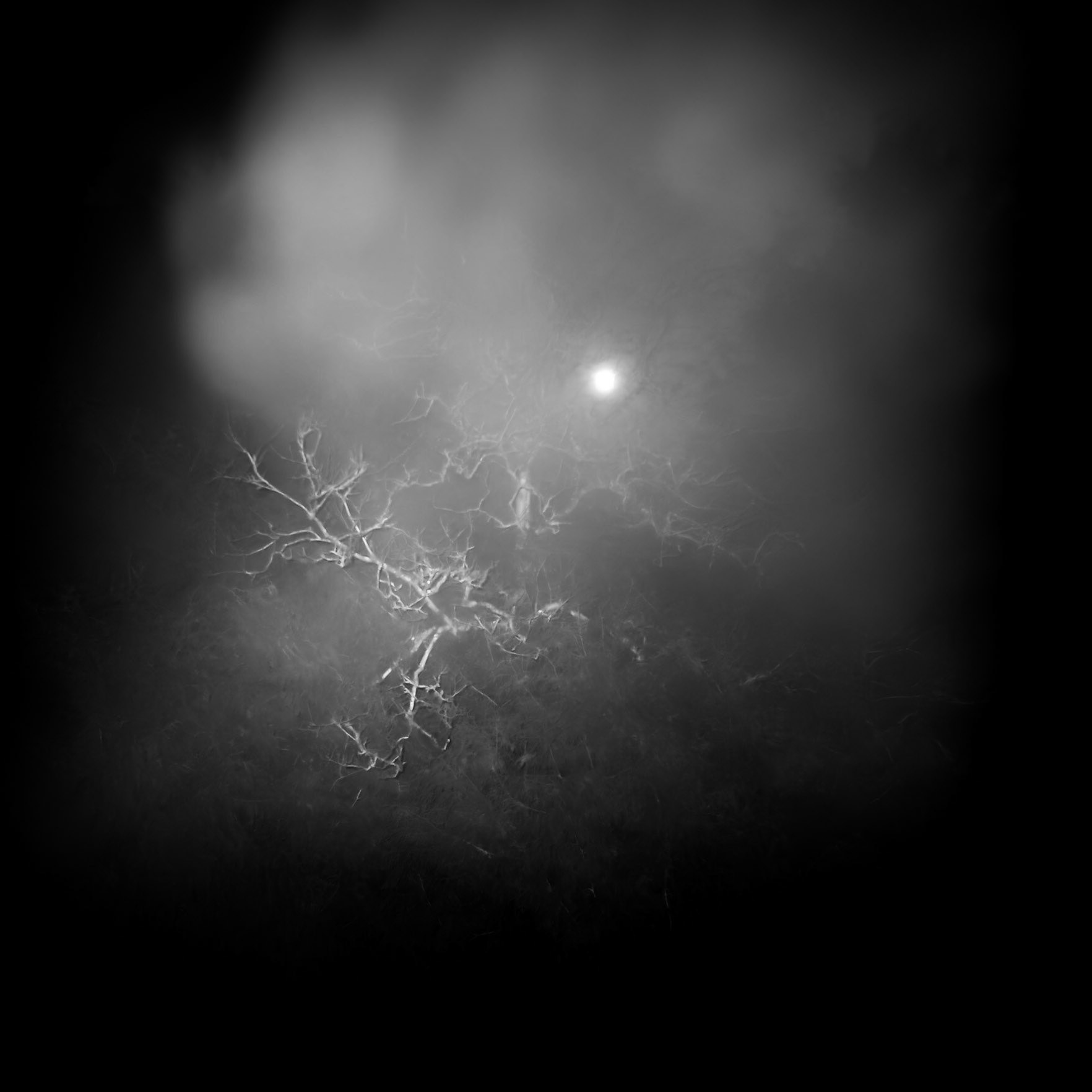 La Lune Ment #9