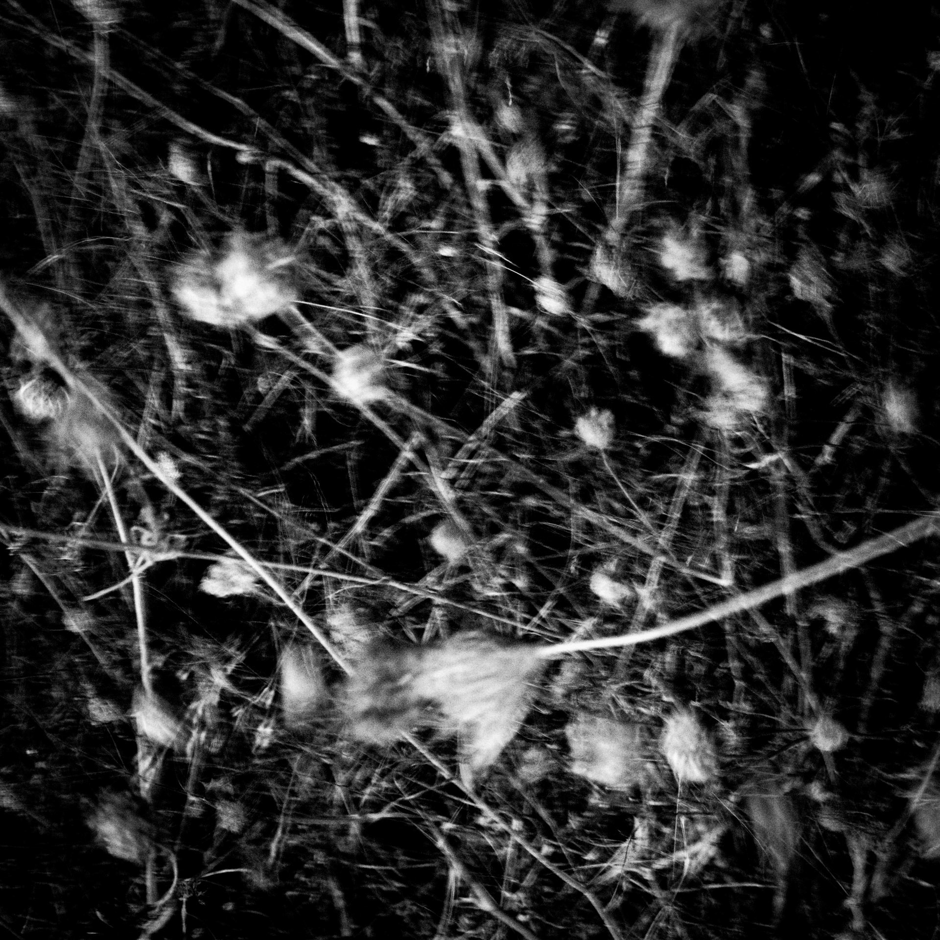 La Lune Ment #23
