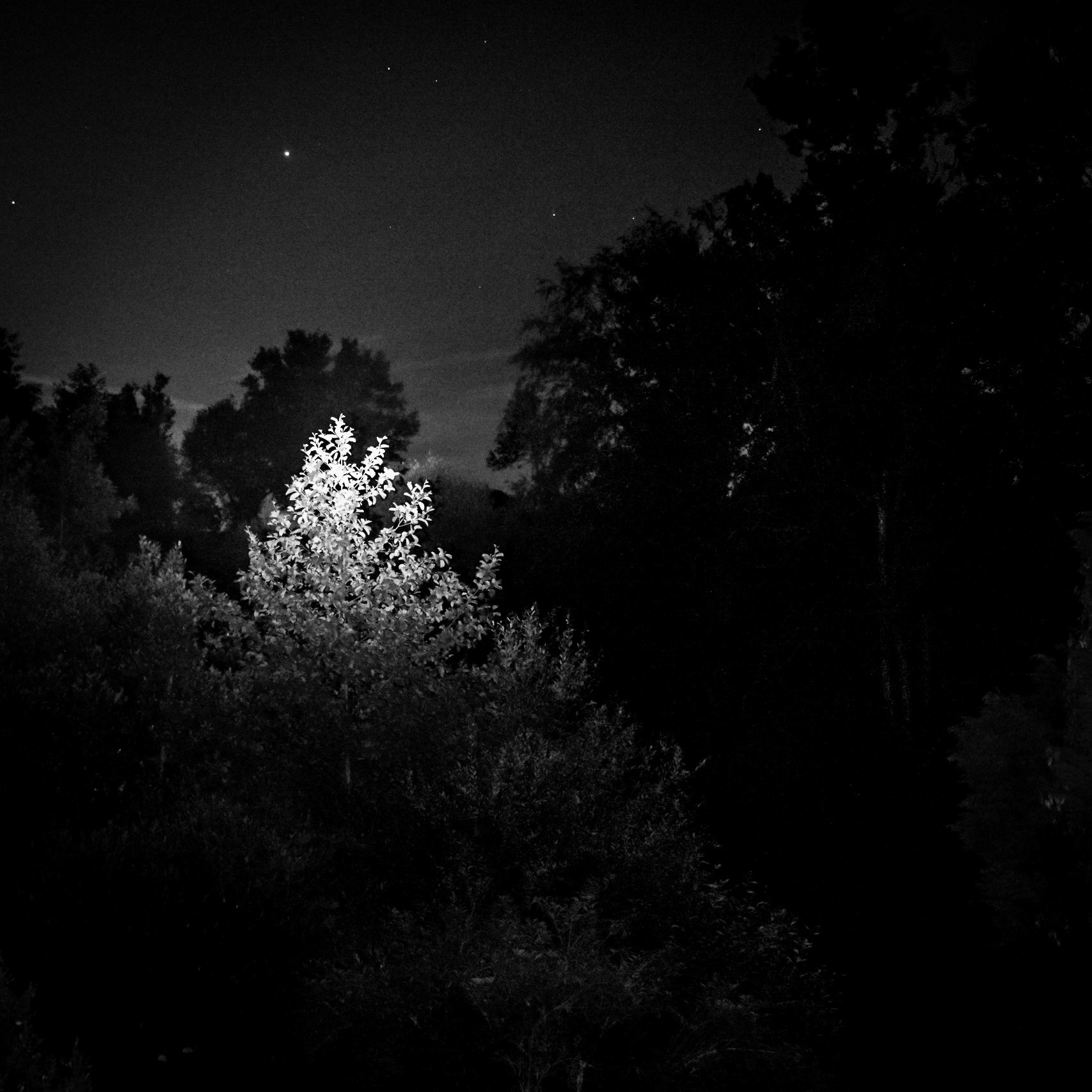 La Lune Ment #13