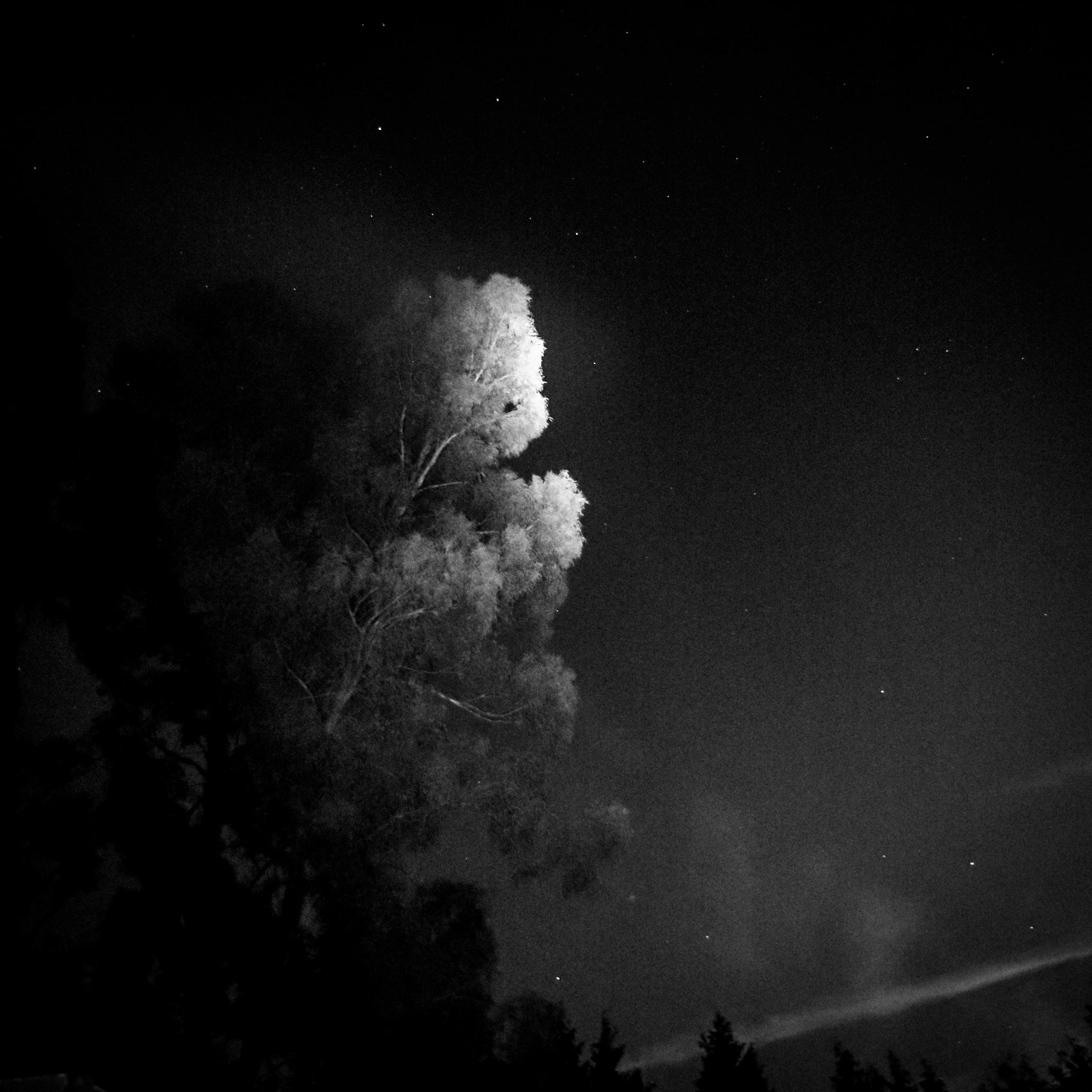 La Lune Ment #15