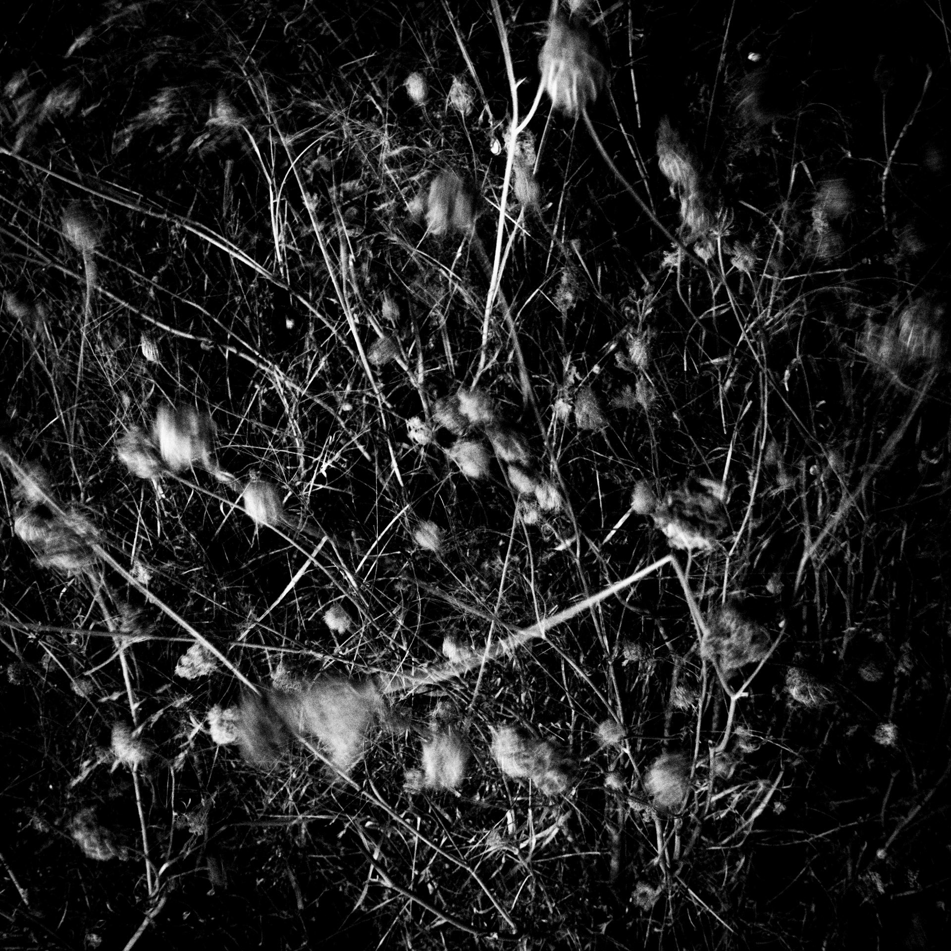 La Lune Ment #27