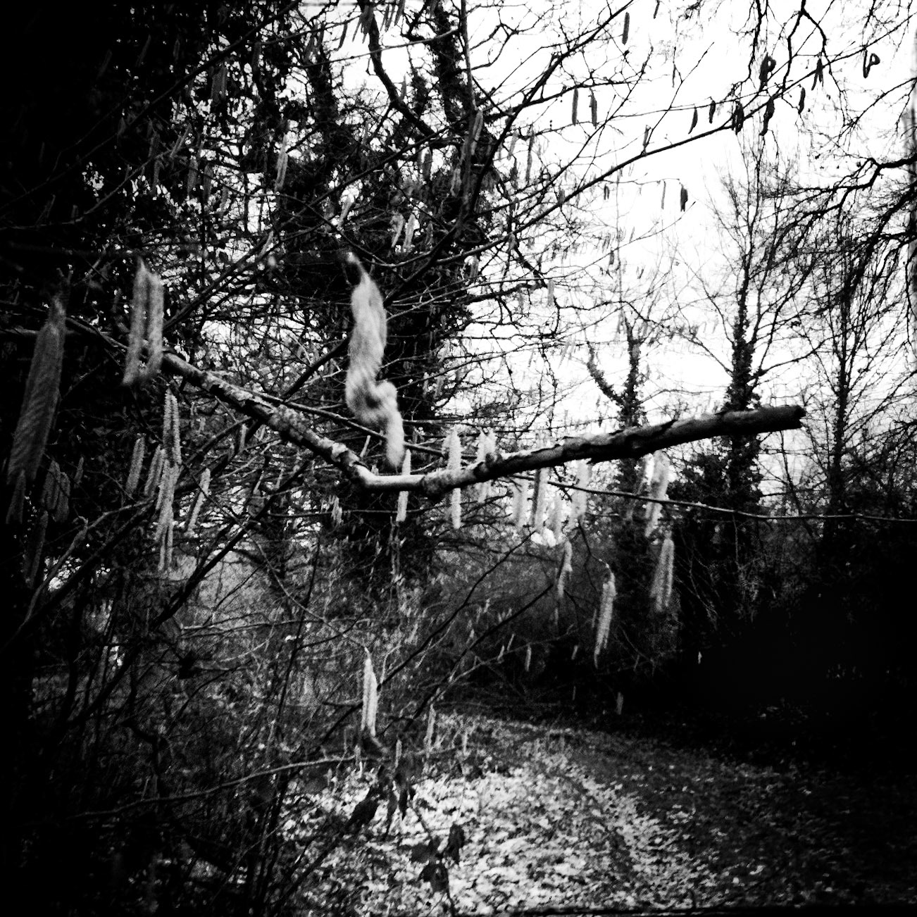 Le chemin