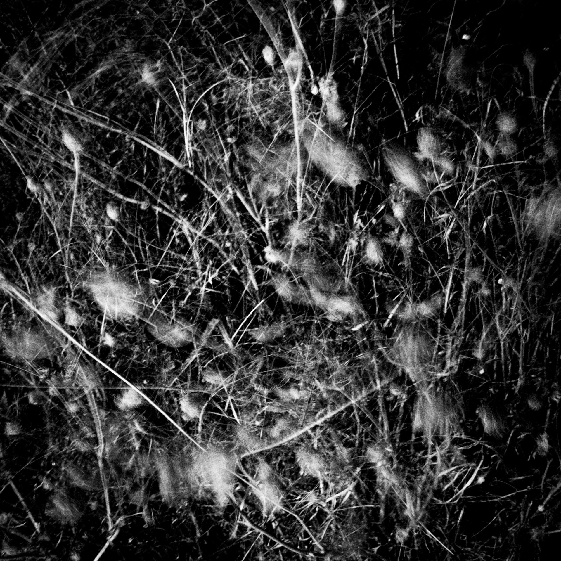 La Lune Ment #25