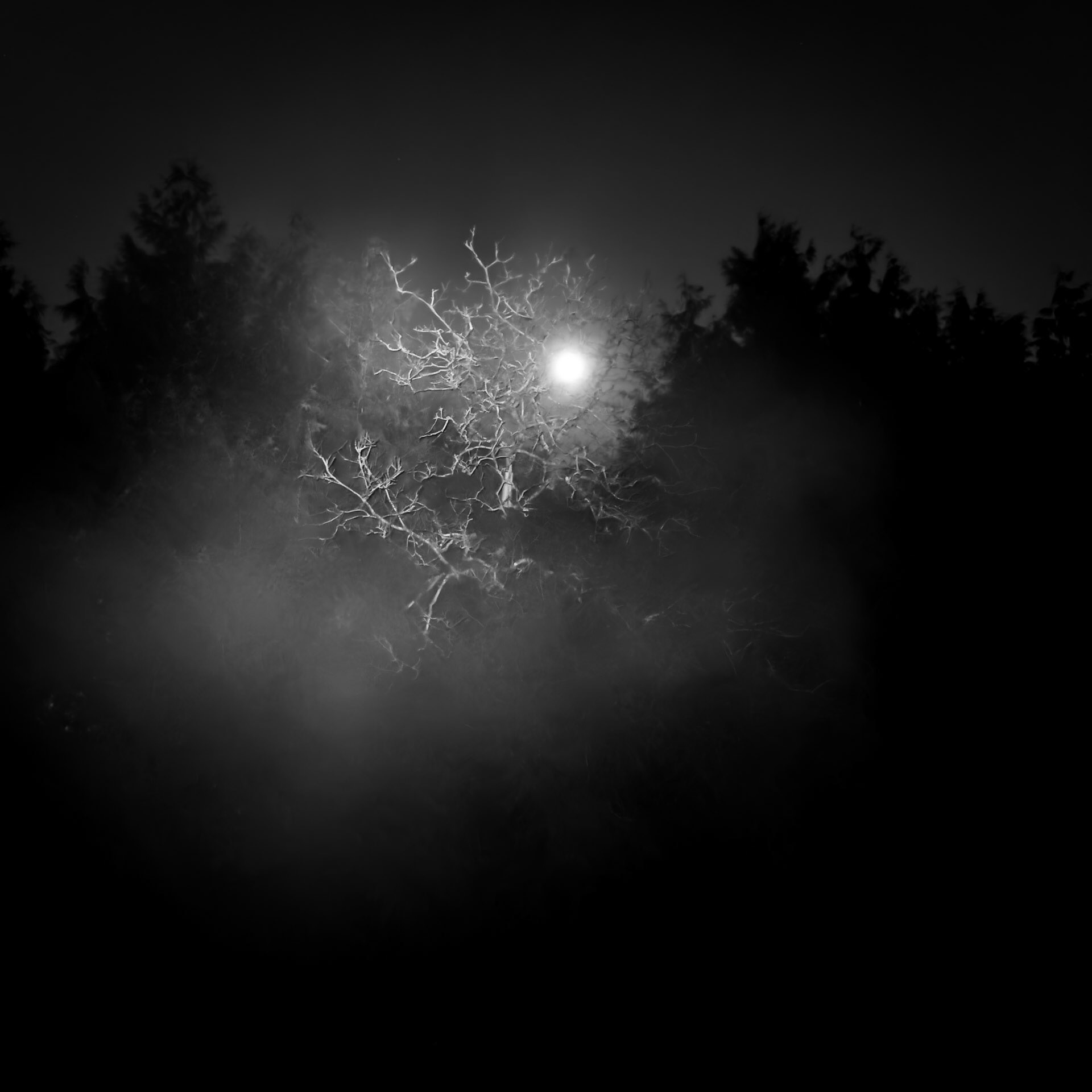 La Lune Ment #7