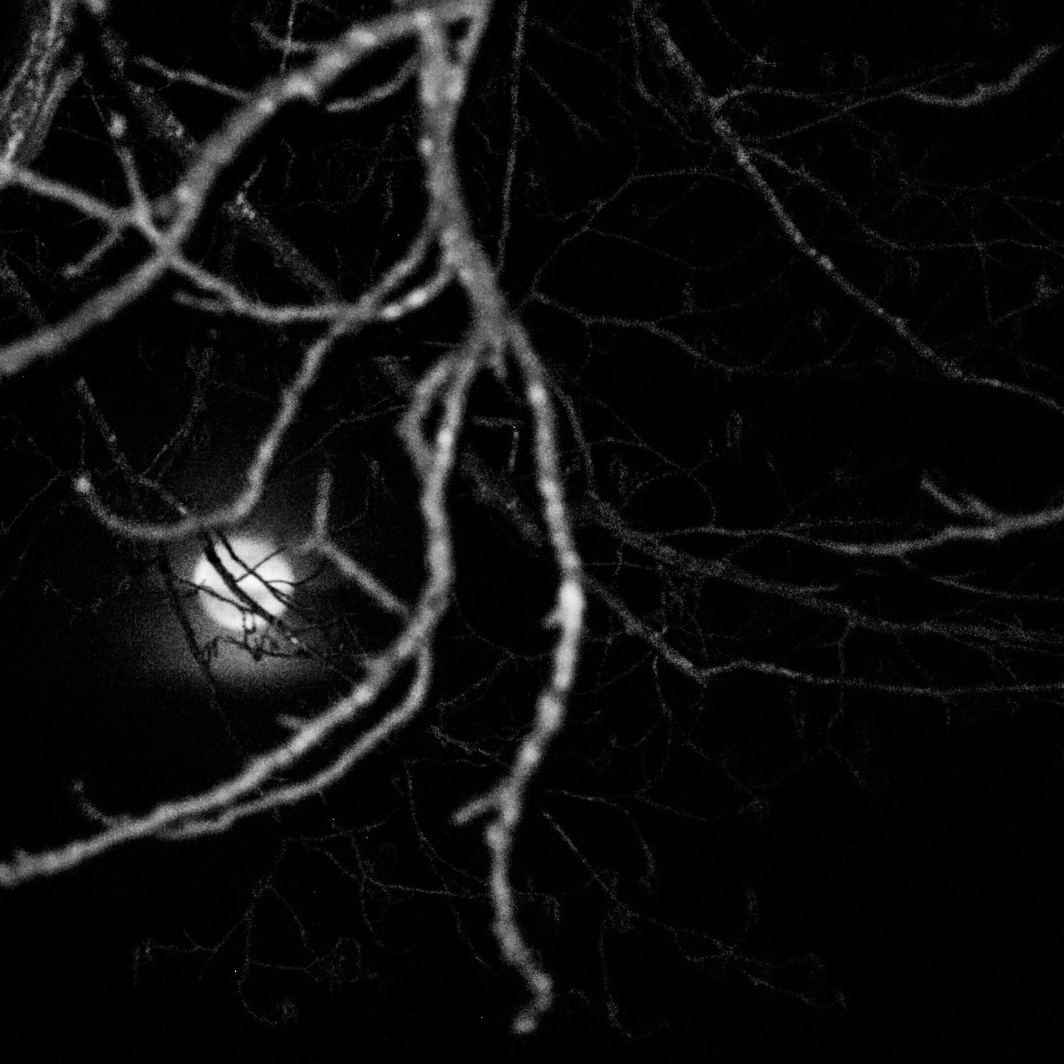 La Lune Ment #22