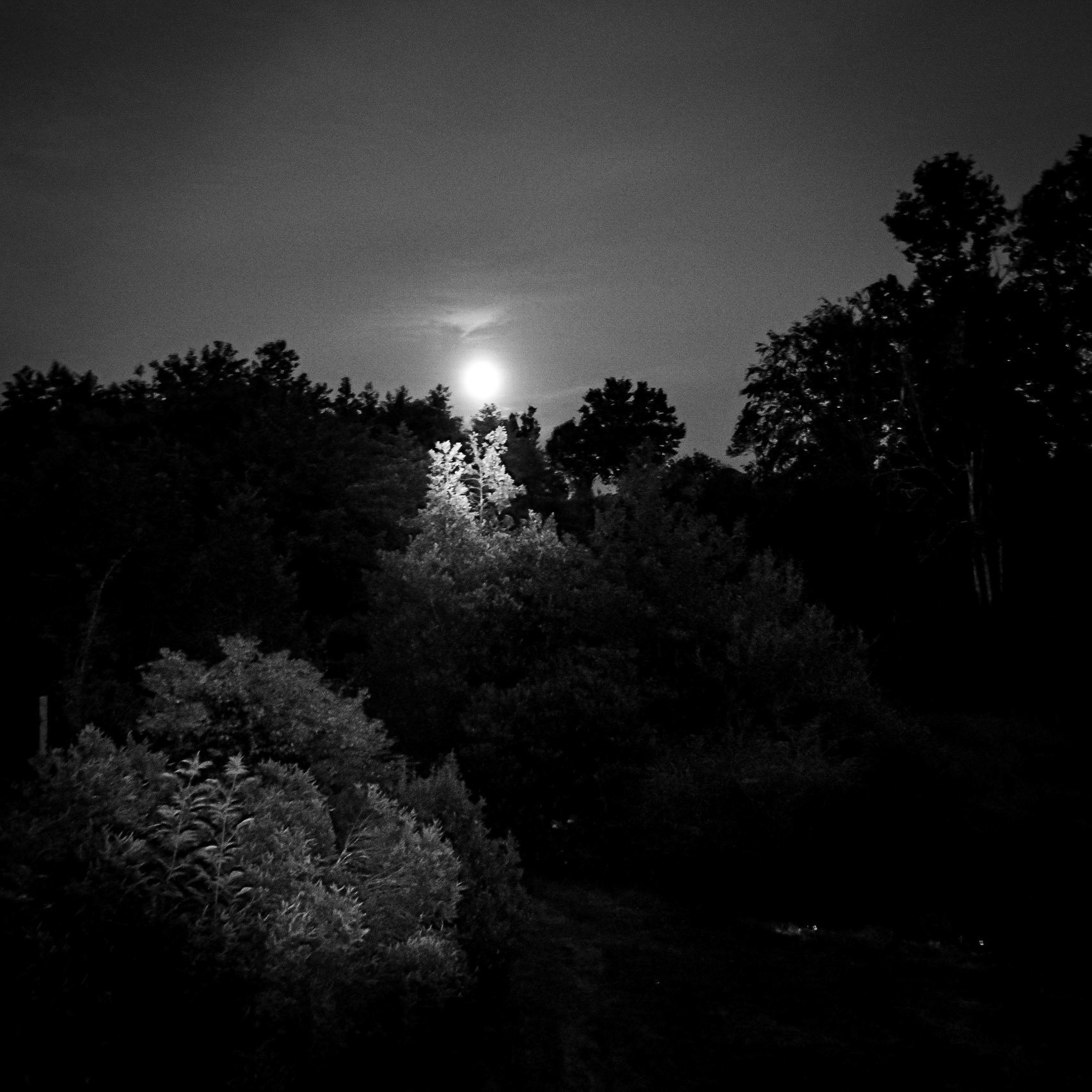 La Lune Ment #5