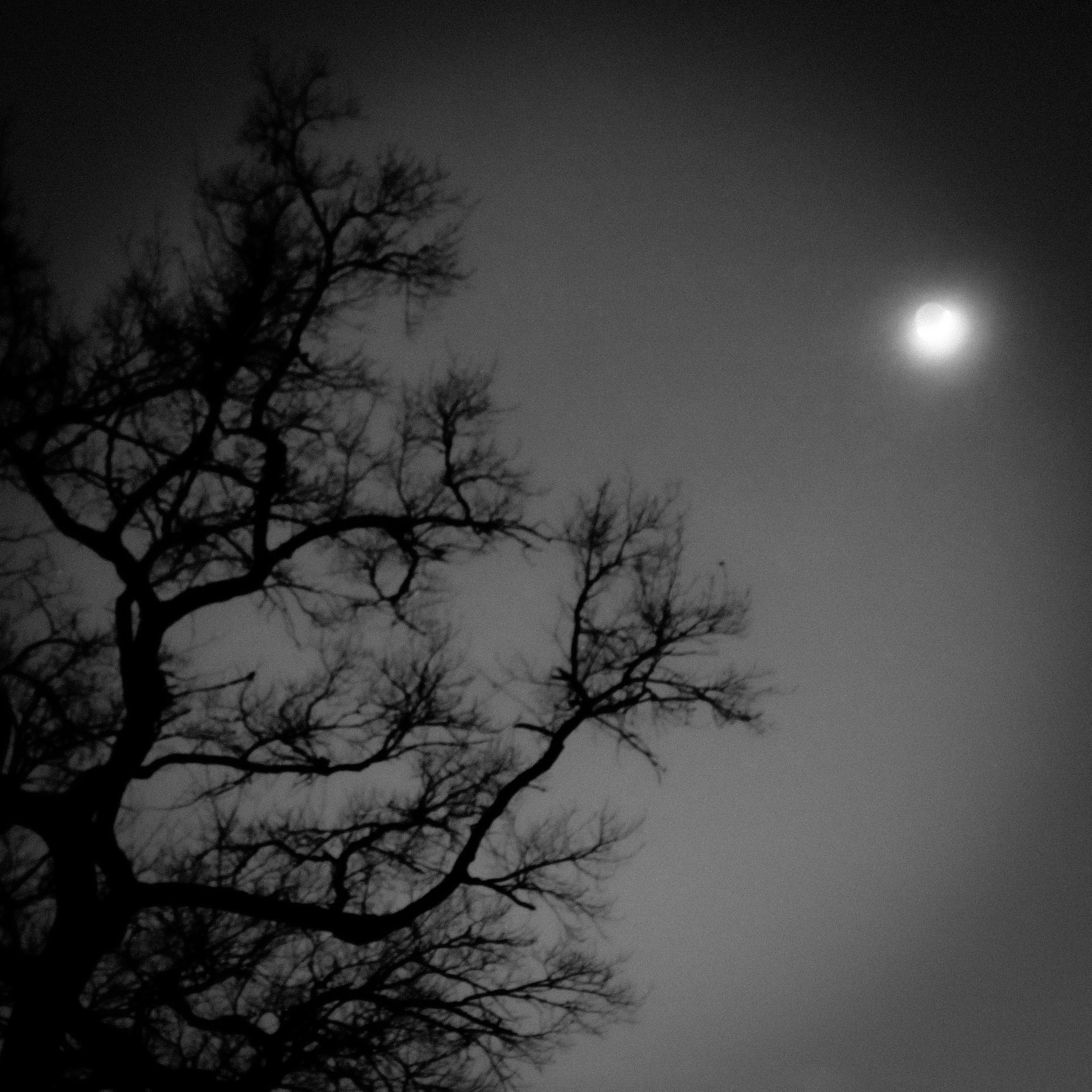 La Lune Ment #21