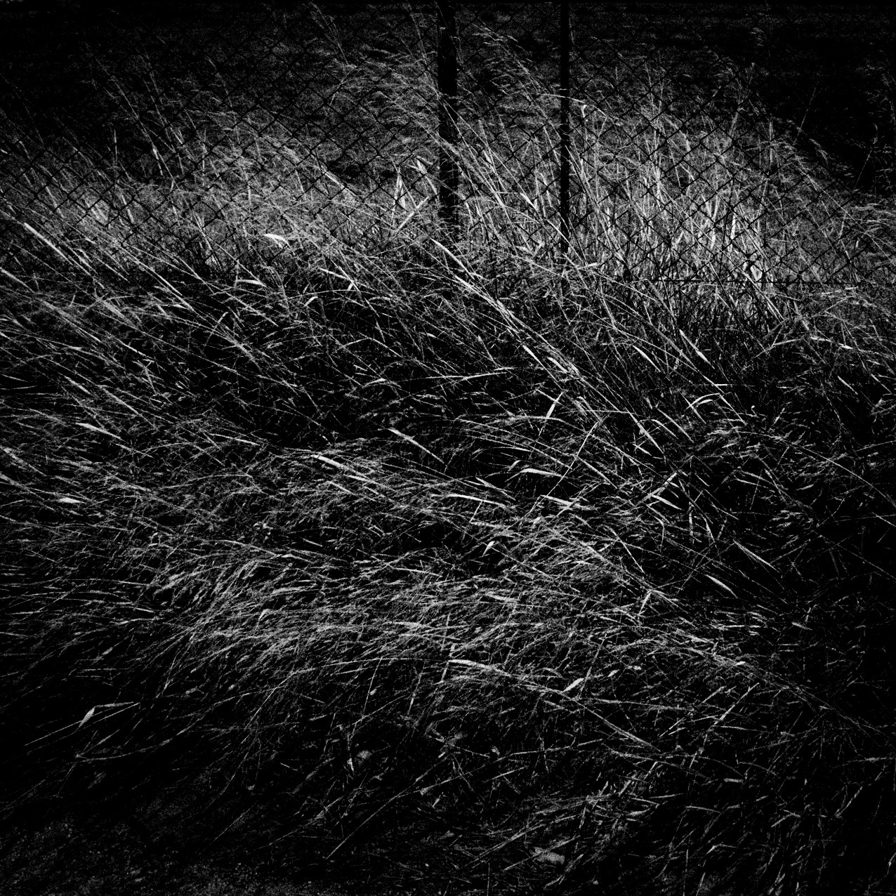 La Lune Ment #2