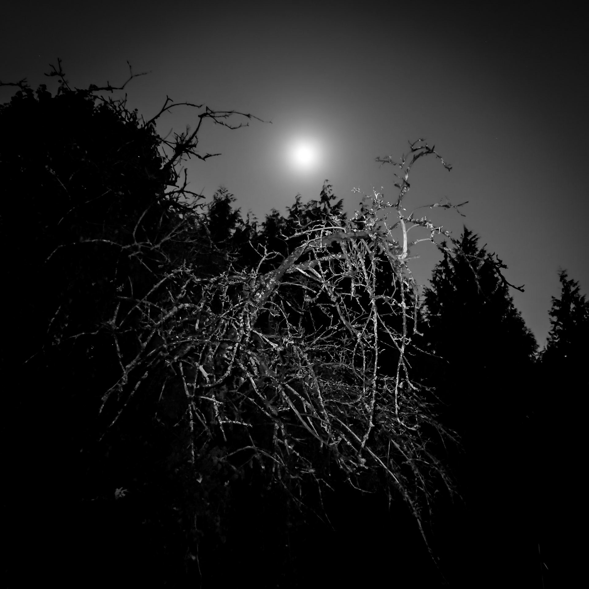 La Lune Ment #17