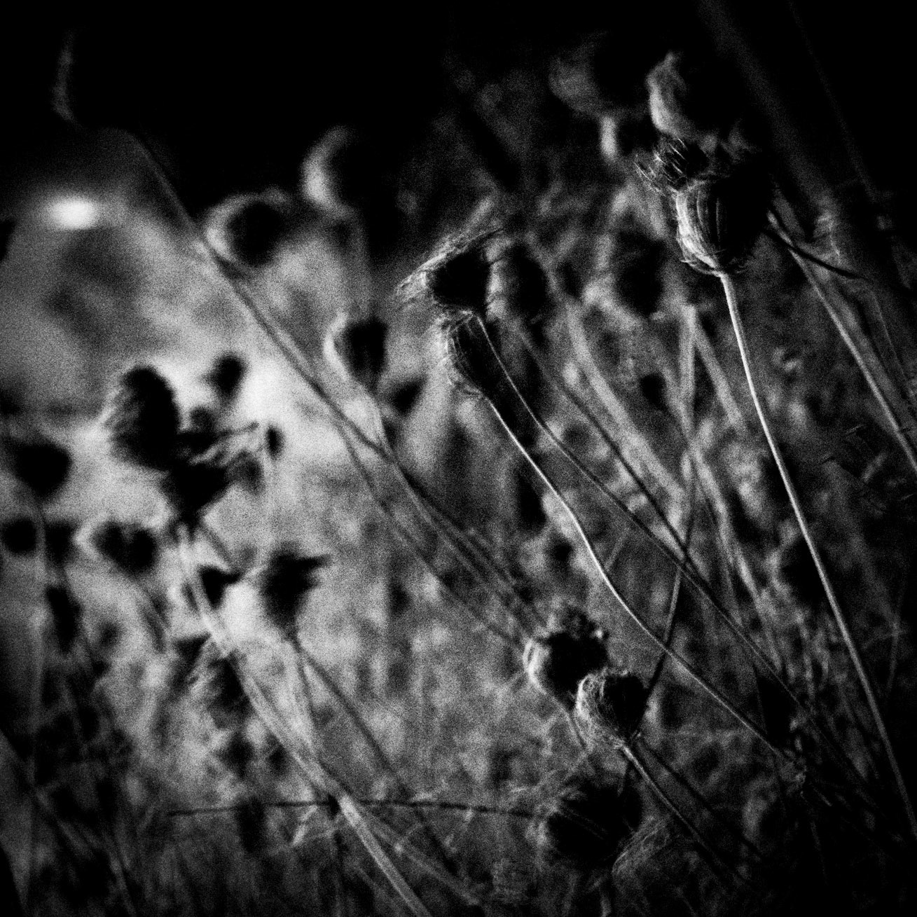 La Lune Ment #23