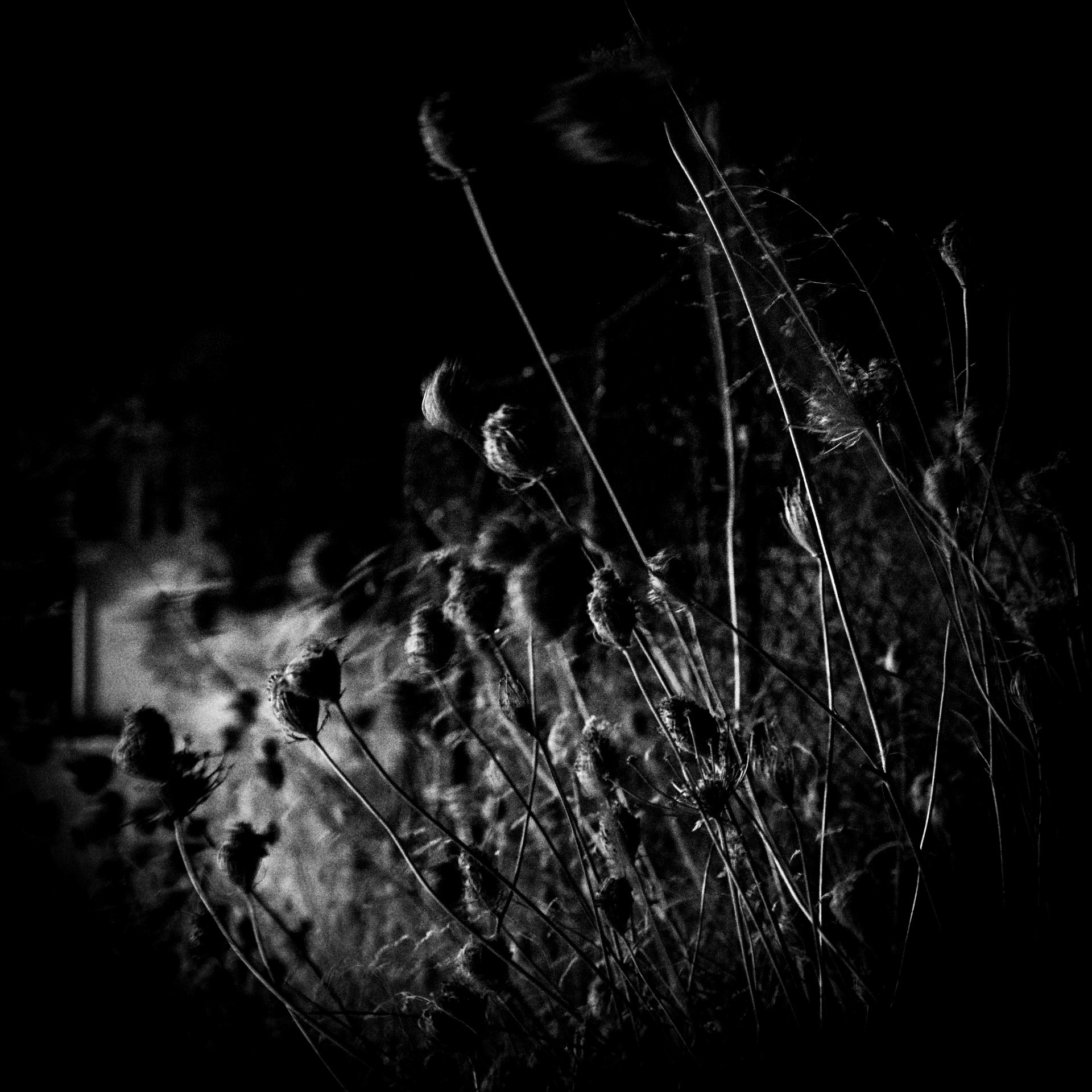 La Lune Ment #26
