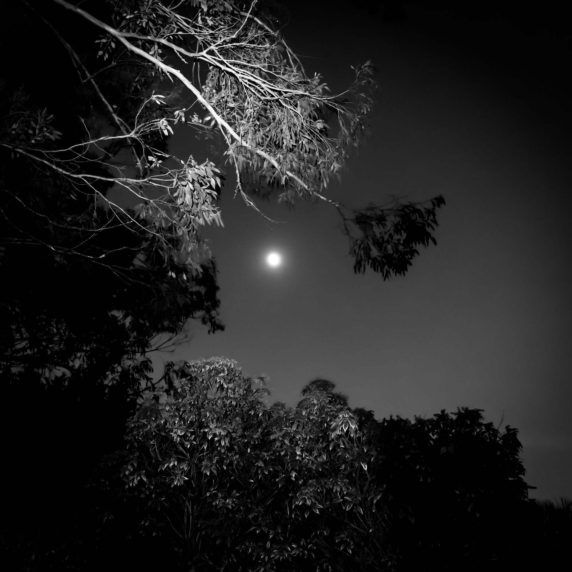 La Lune Ment #16